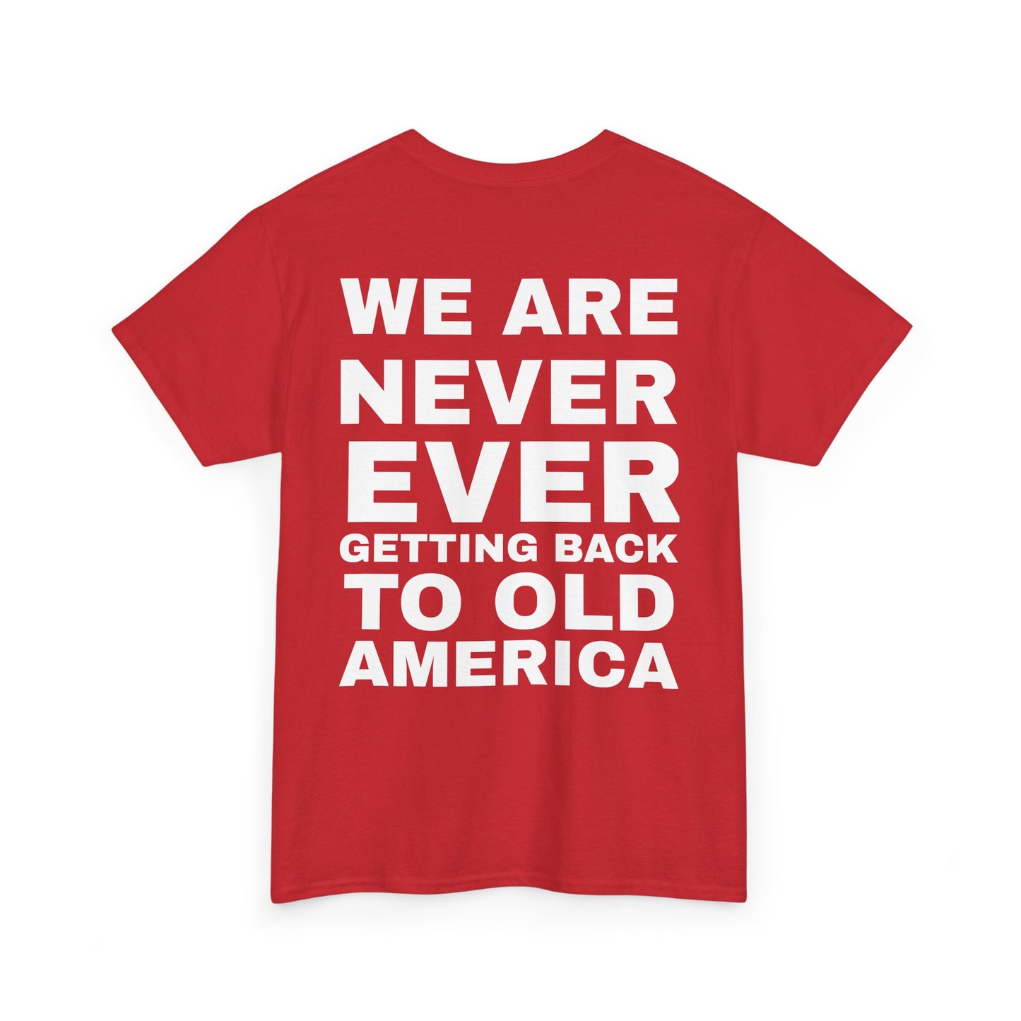 Americas Taylor’s Version Republican T Shirt