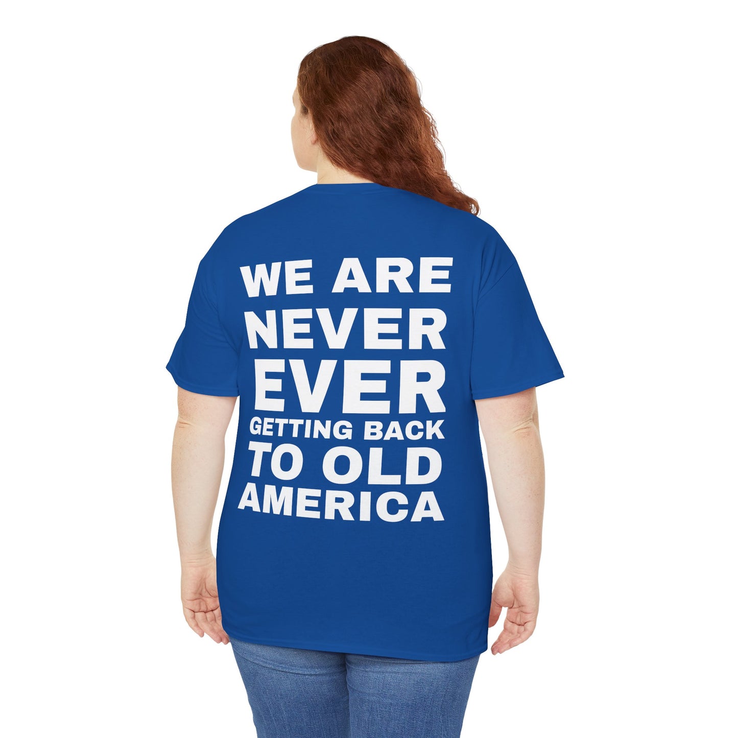 Americas Taylor’s Version Democrat T Shirt