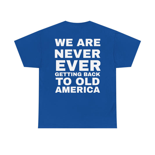 Americas Taylor’s Version Democrat T Shirt