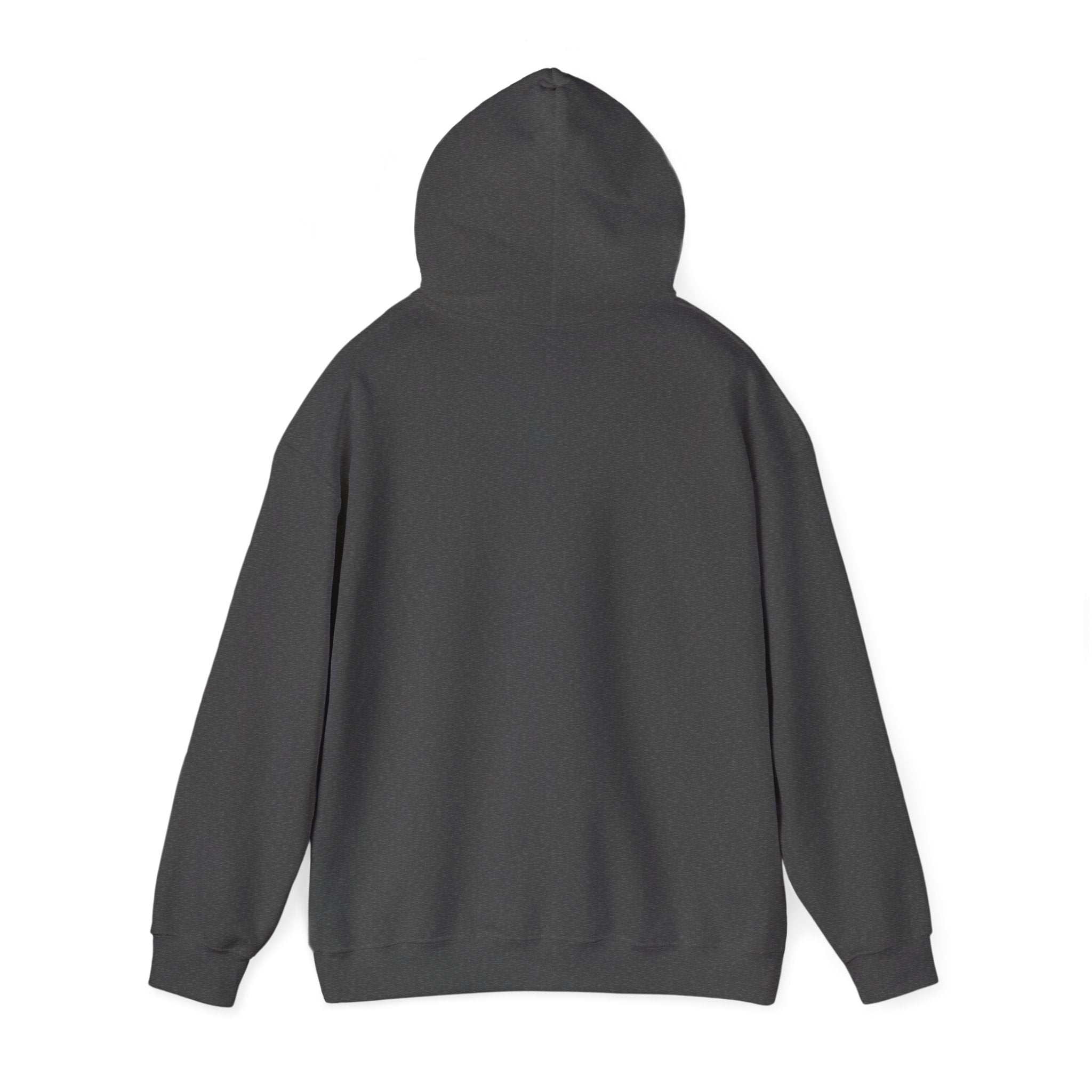 Patriotic Cat Hoodie — "Ready for the Stars" Graphic Pullover