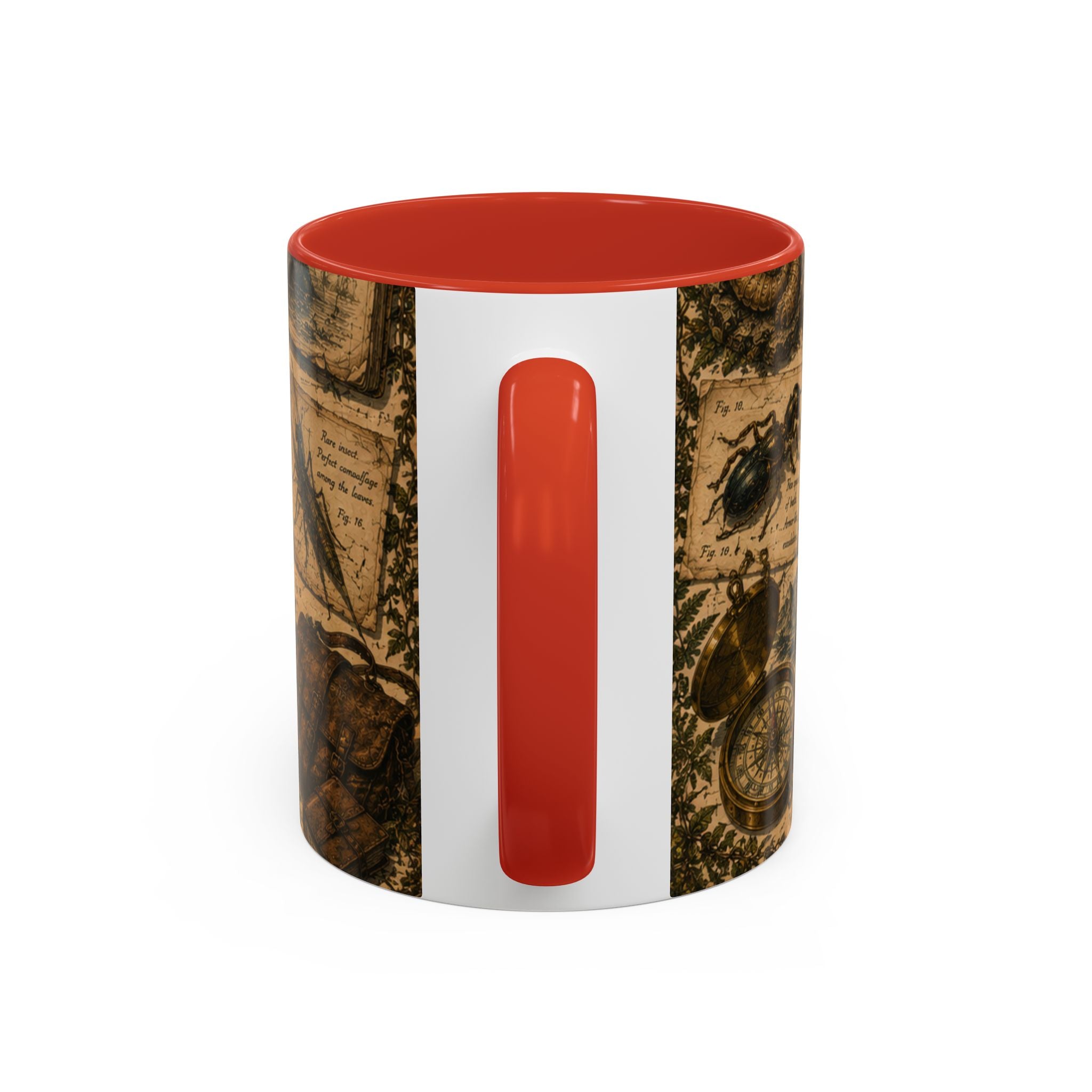Vintage Natural History Coffee Mug — Botanical & Fossil Illustration Accent Mug
