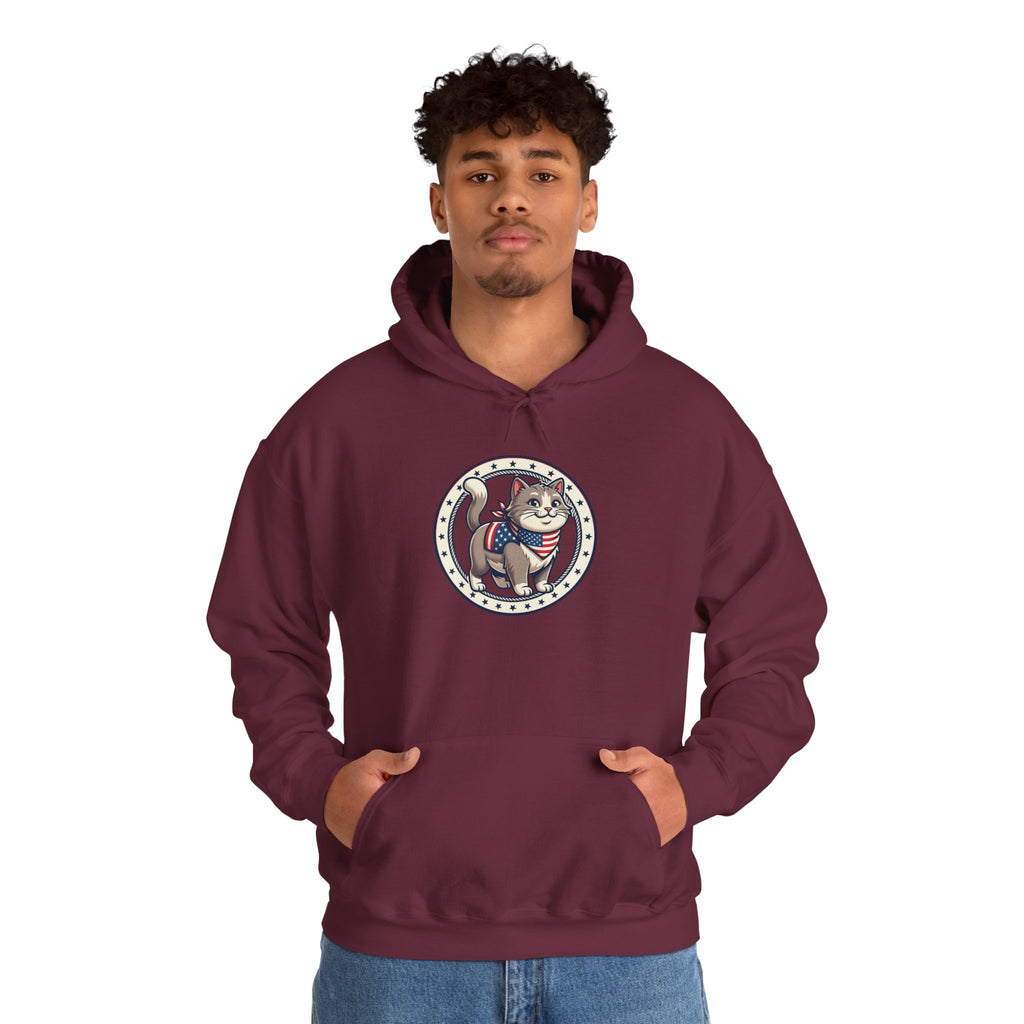 Patriotic Cat Hoodie