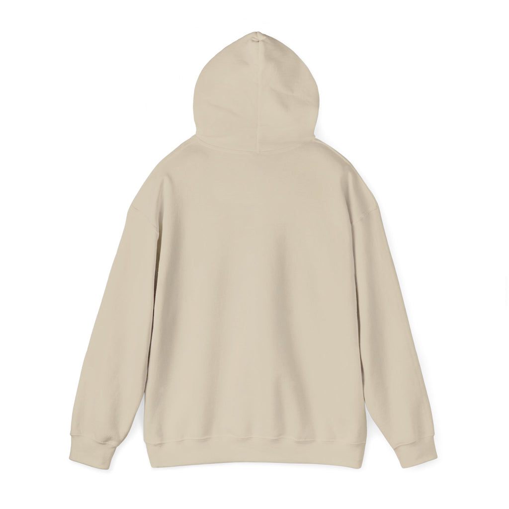 Patriotic Cat Hoodie — "Ready for the Stars" Graphic Pullover