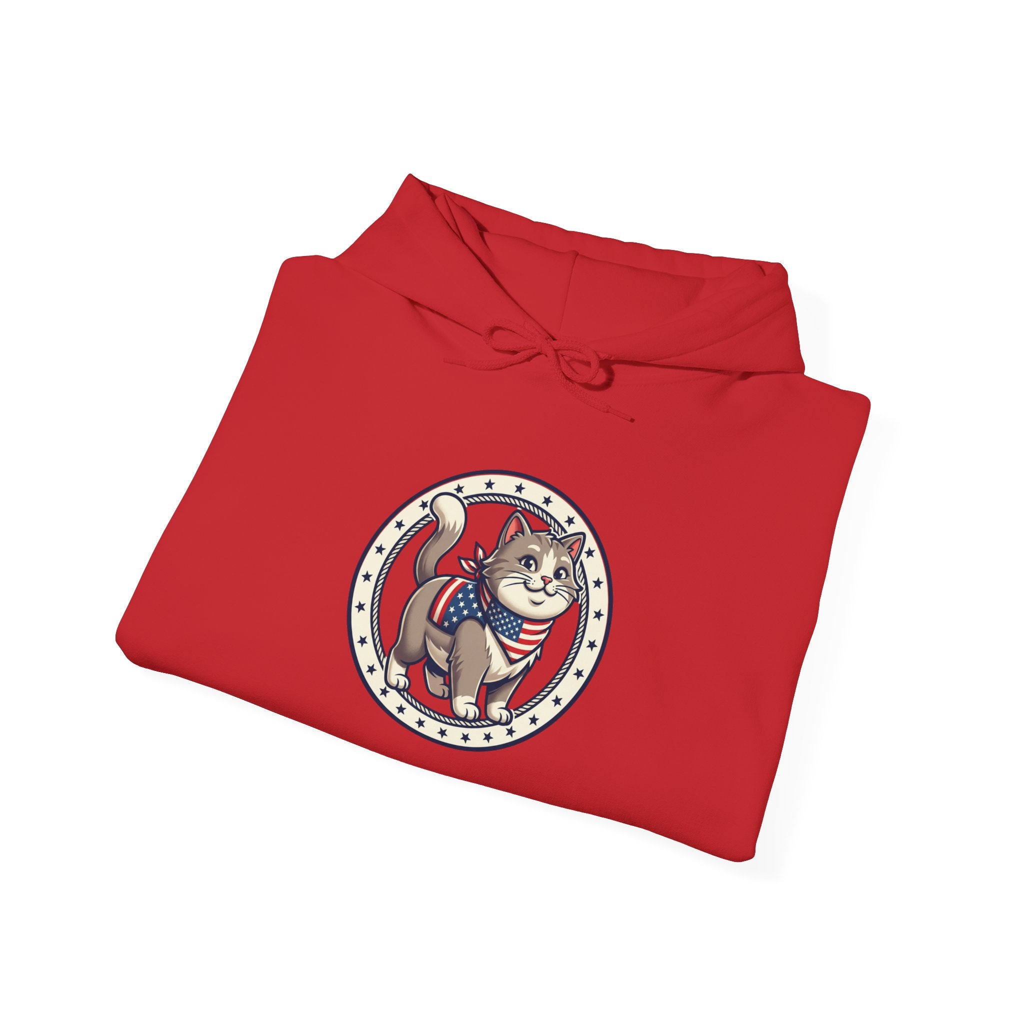 Patriotic Cat Hoodie