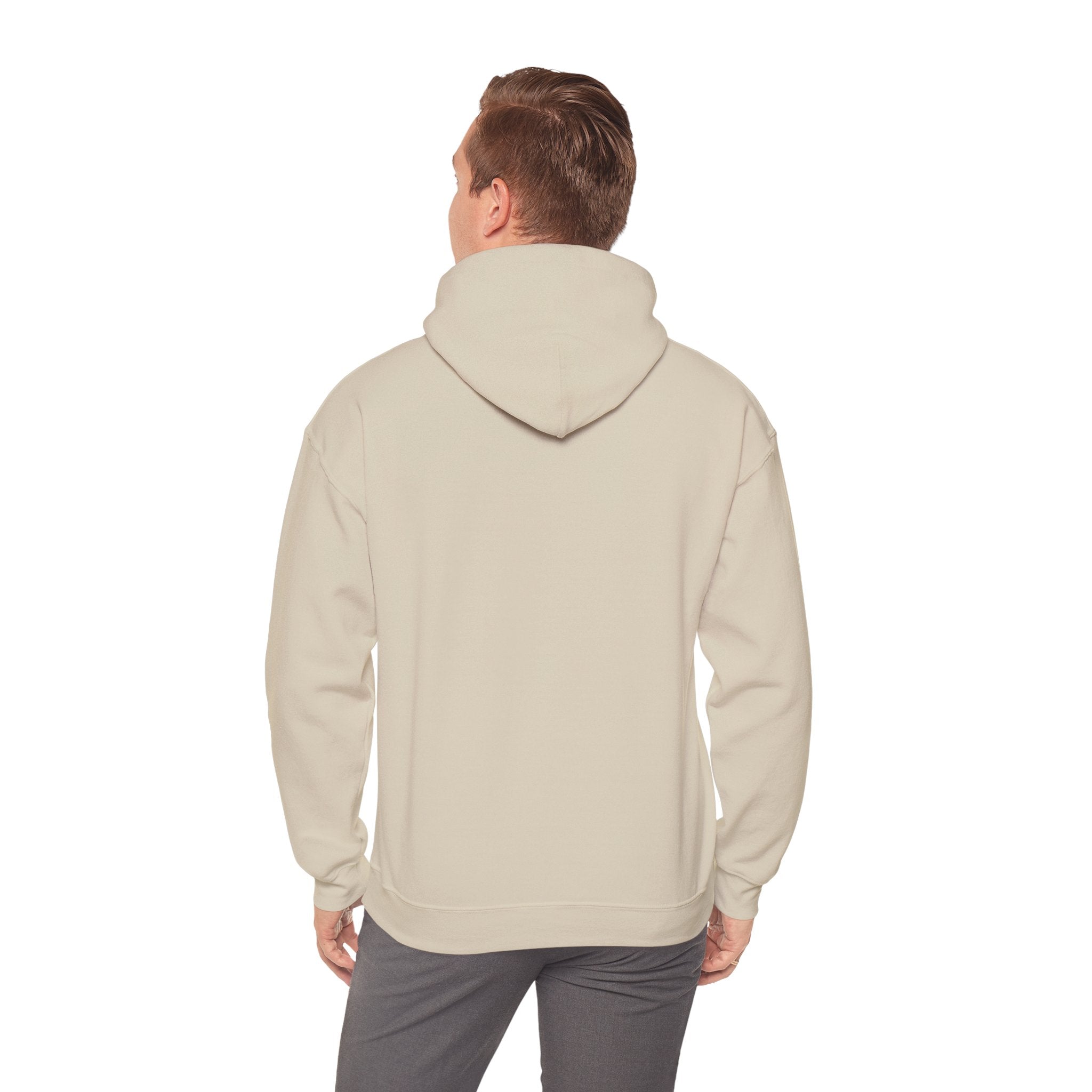 Patriotic Cat Hoodie — "Ready for the Stars" Graphic Pullover