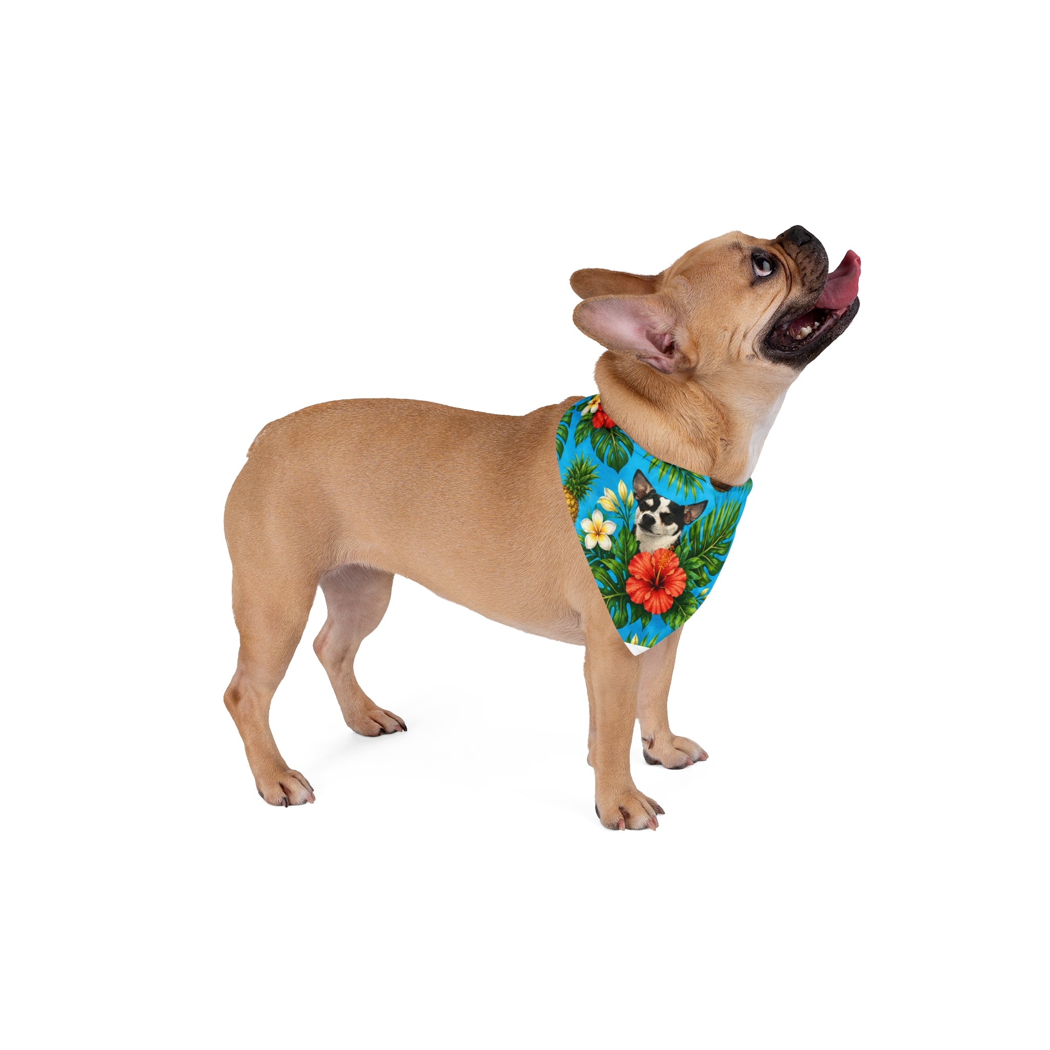 Tropical Dog Bandana — Hawaiian Floral & Pineapple Pet Scarf