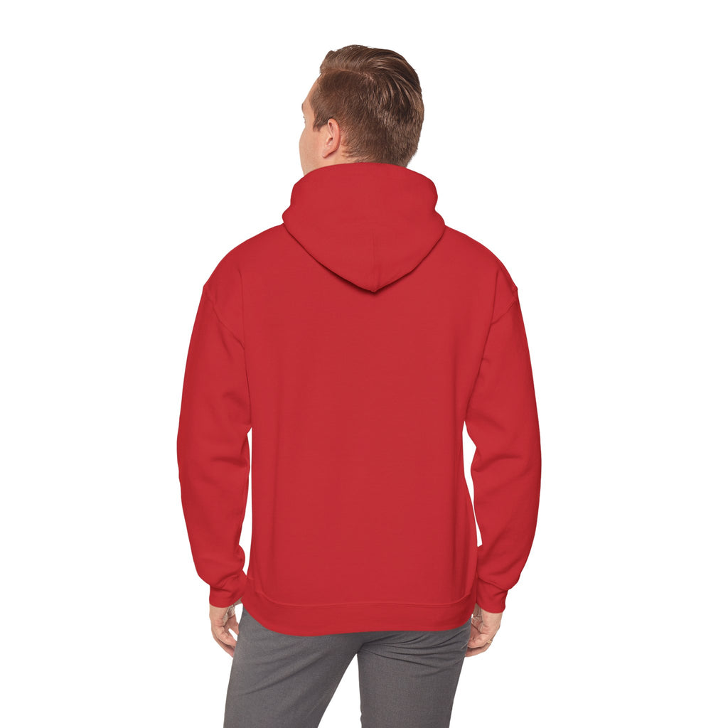 Patriotic Cat Hoodie — "Ready for the Stars" Graphic Pullover
