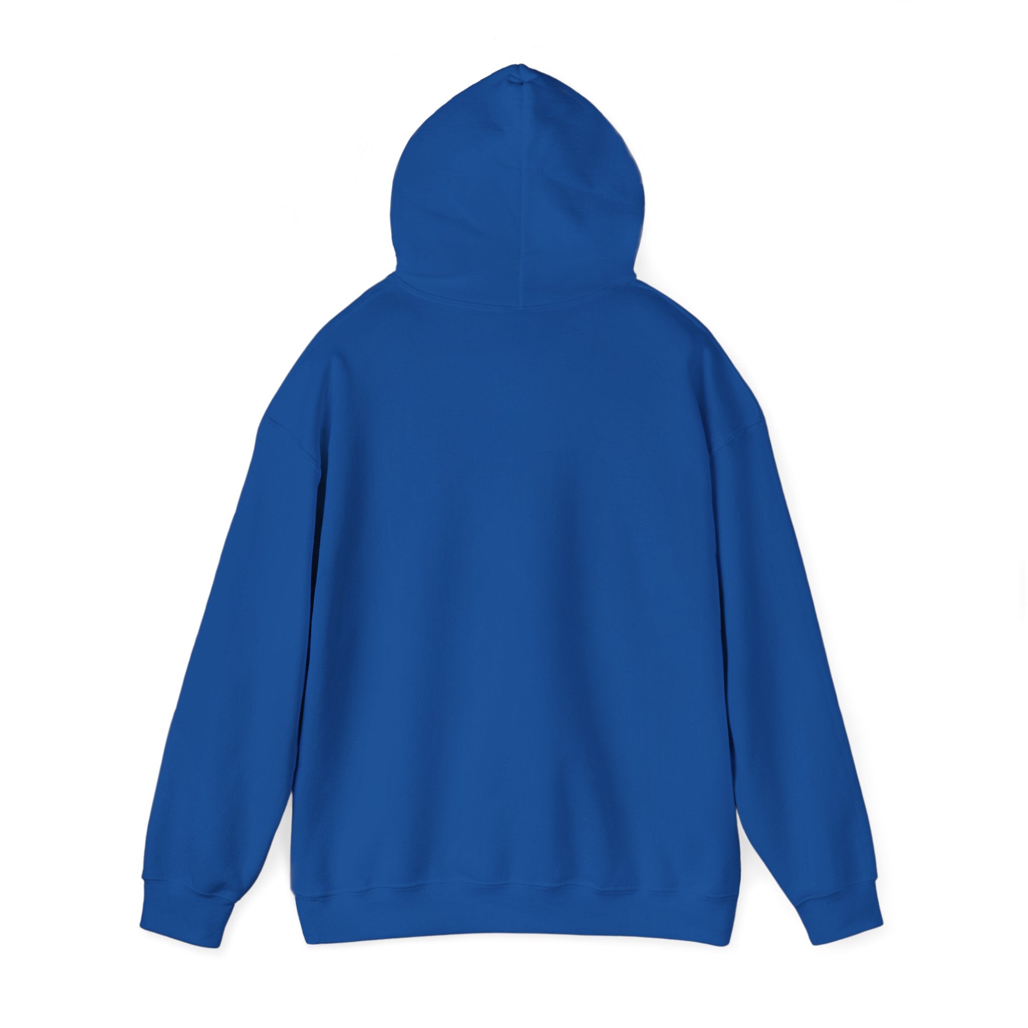 Patriotic Cat Hoodie — "Ready for the Stars" Graphic Pullover