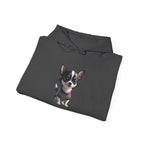 Chihuahua Hoodie – Cute Small Dog Pullover for Pet Lovers