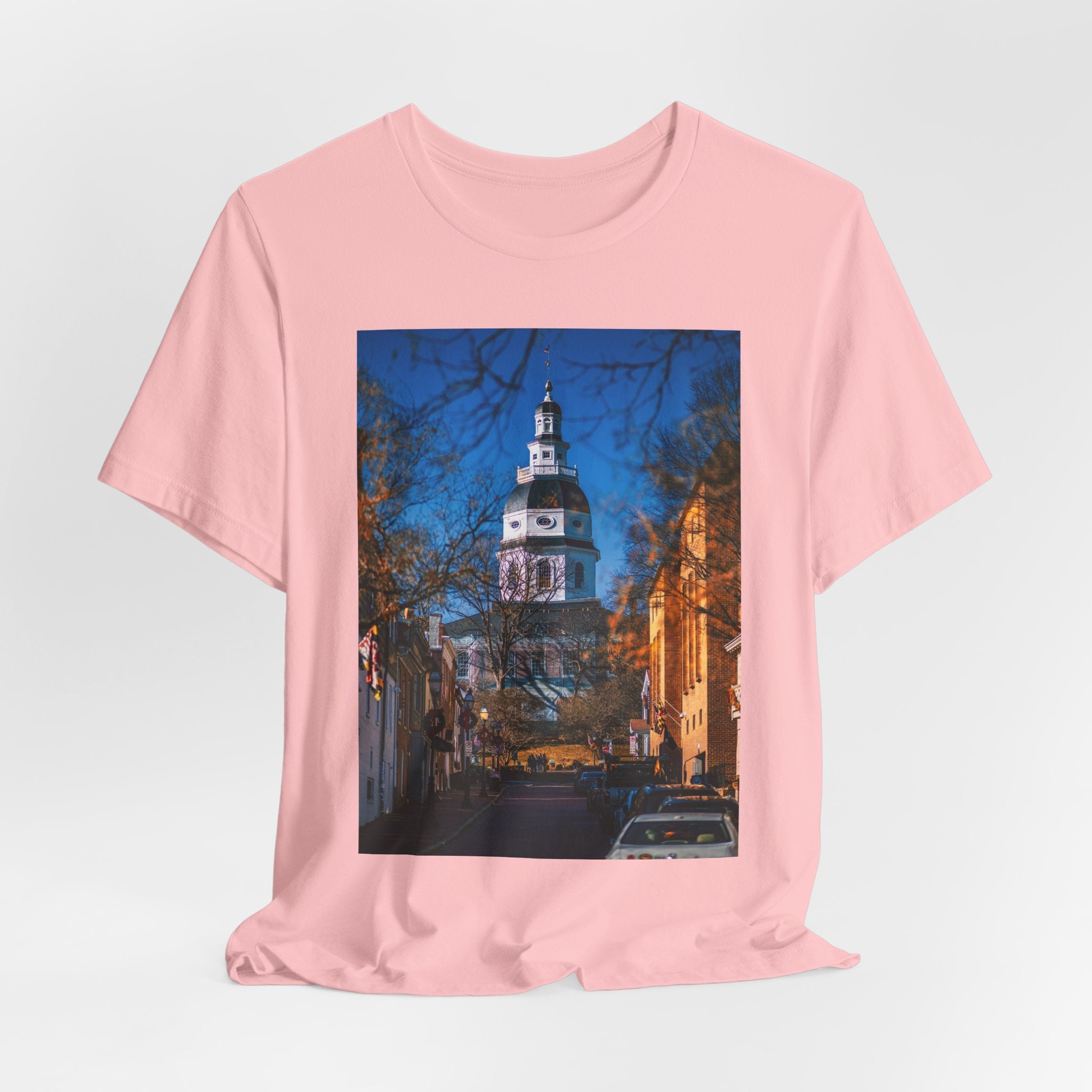Maryland State House Street Photo Tee