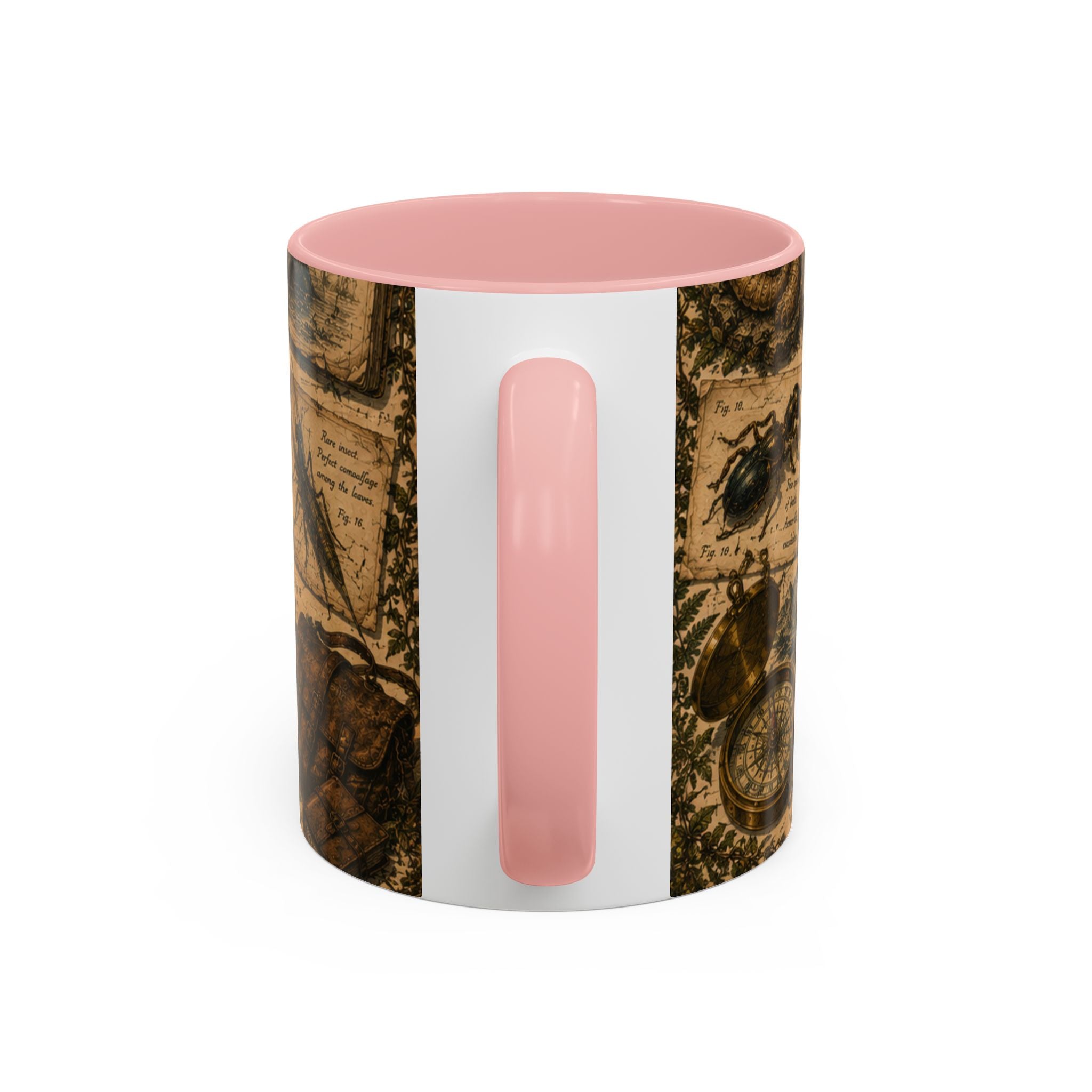 Vintage Natural History Coffee Mug — Botanical & Fossil Illustration Accent Mug