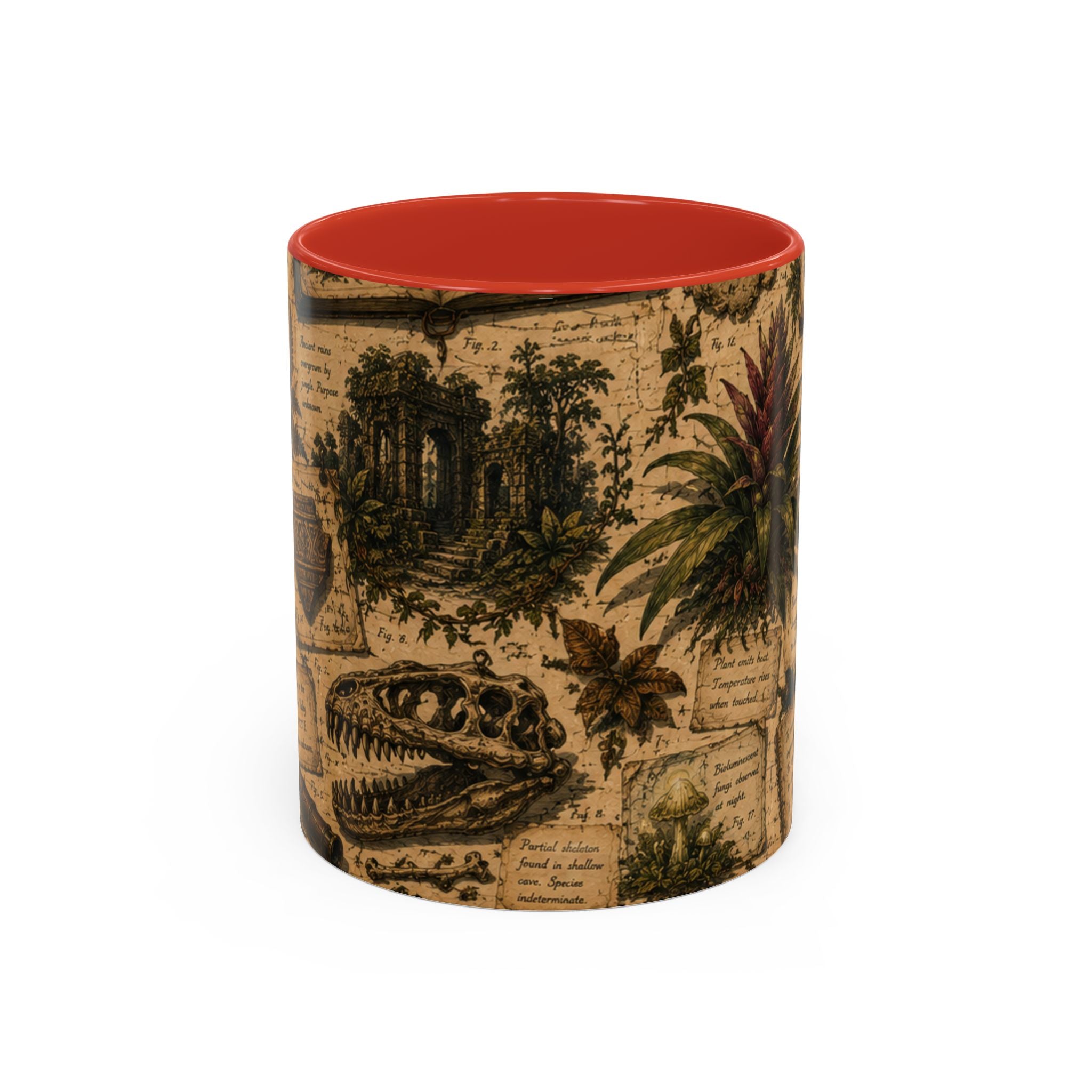 Vintage Natural History Coffee Mug — Botanical & Fossil Illustration Accent Mug