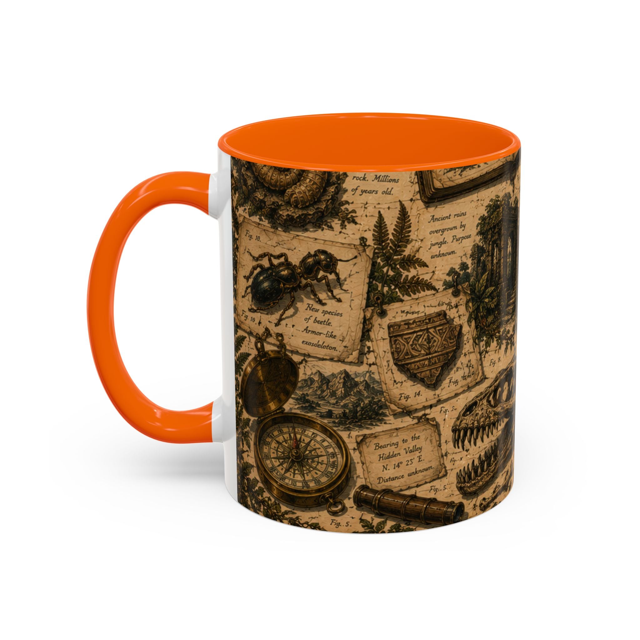 Vintage Natural History Coffee Mug — Botanical & Fossil Illustration Accent Mug