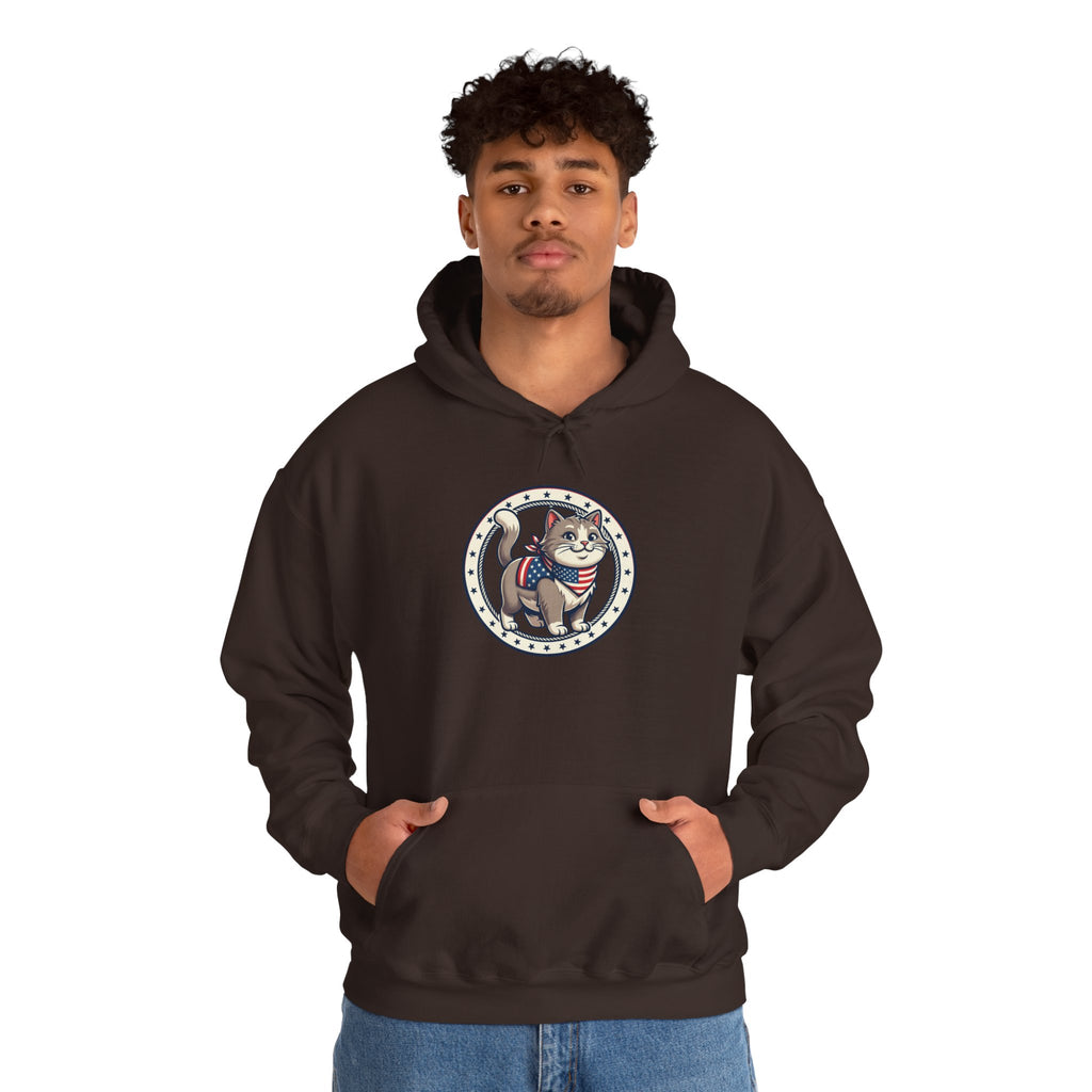 Patriotic Cat Hoodie