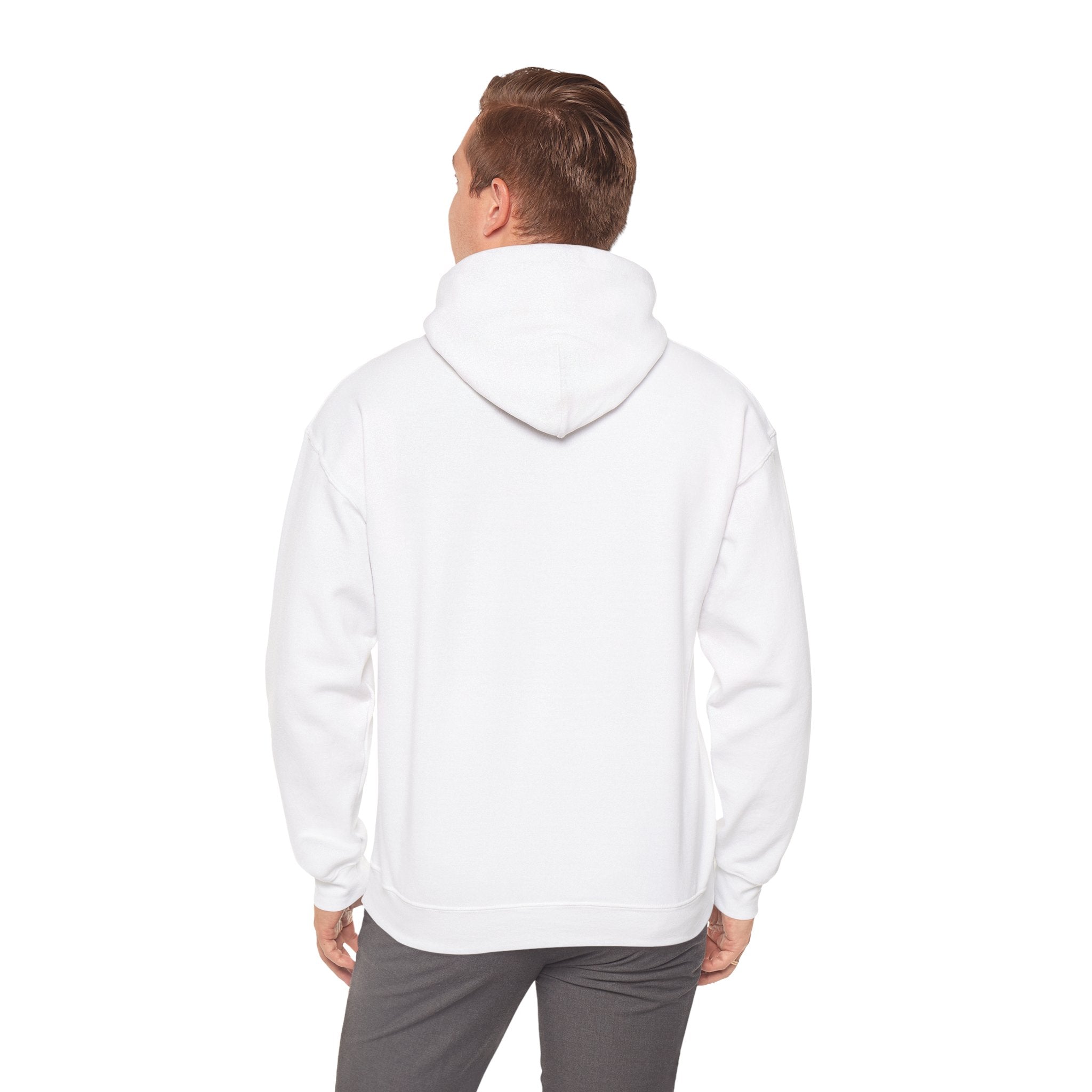 Patriotic Cat Hoodie — "Ready for the Stars" Graphic Pullover