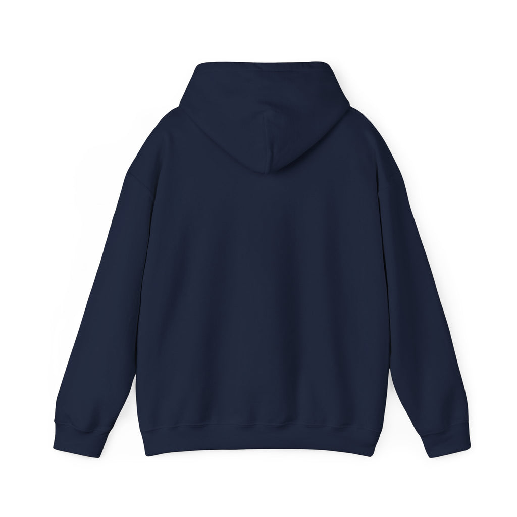 Patriotic Cat Hoodie — "Ready for the Stars" Graphic Pullover