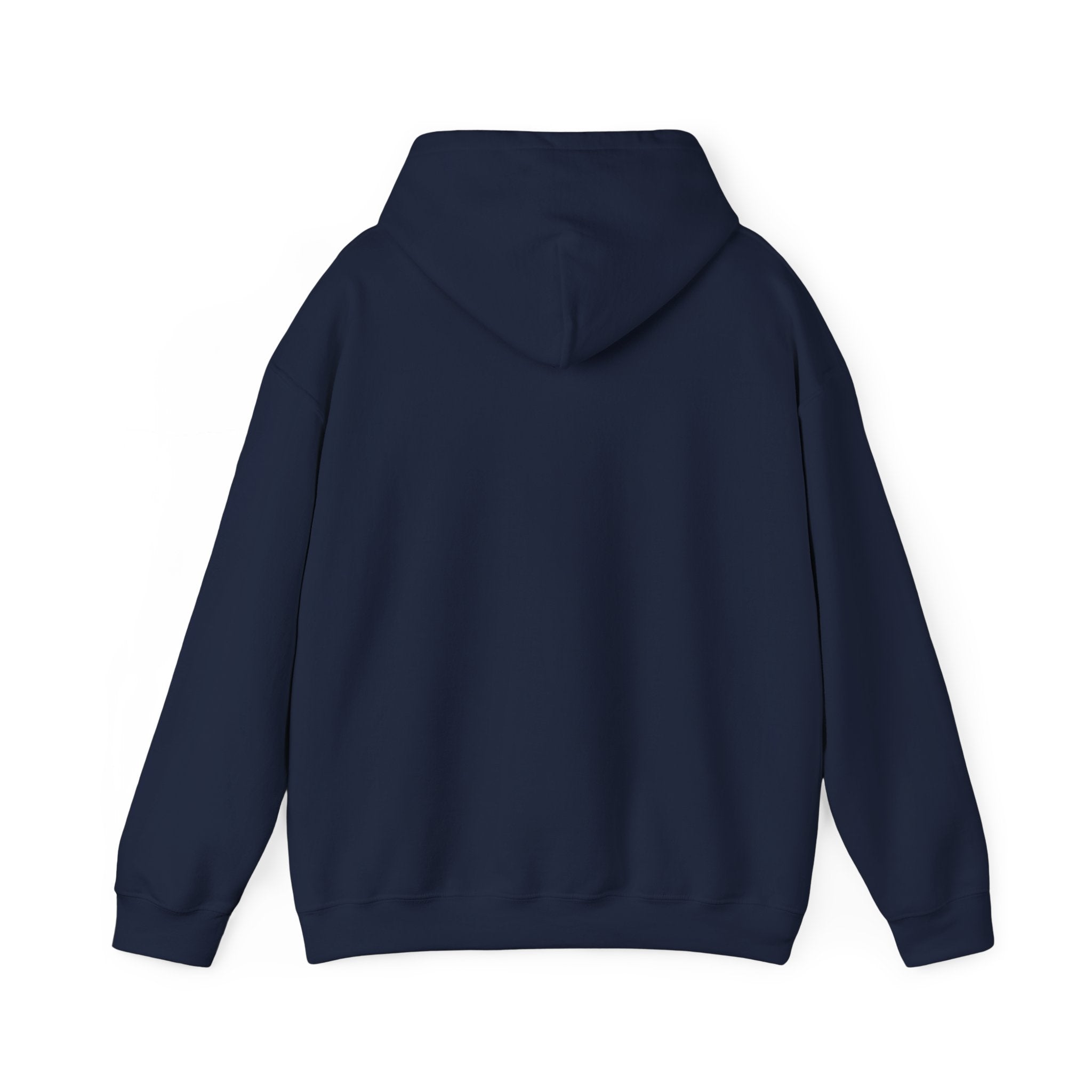 Patriotic Cat Hoodie — "Ready for the Stars" Graphic Pullover