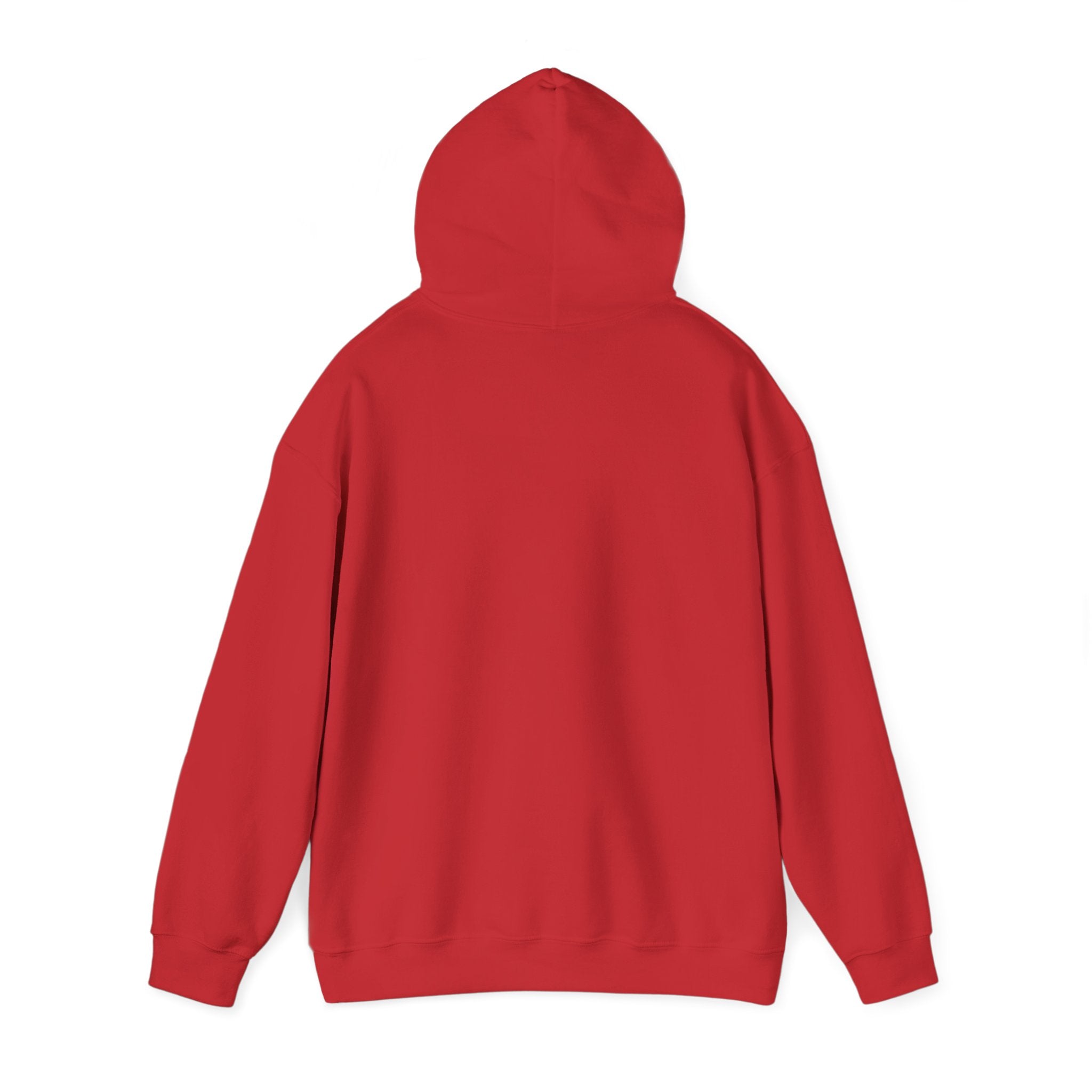 Patriotic Cat Hoodie — "Ready for the Stars" Graphic Pullover