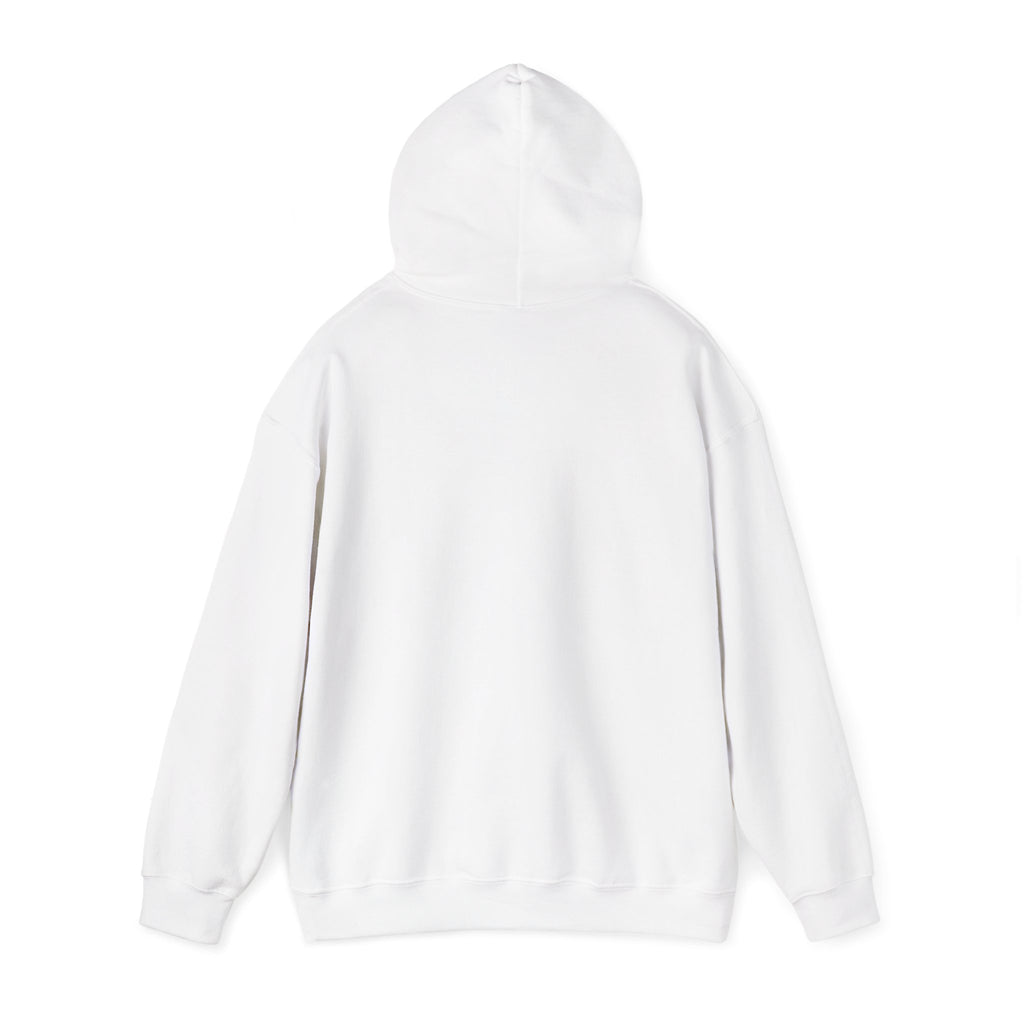 Patriotic Cat Hoodie