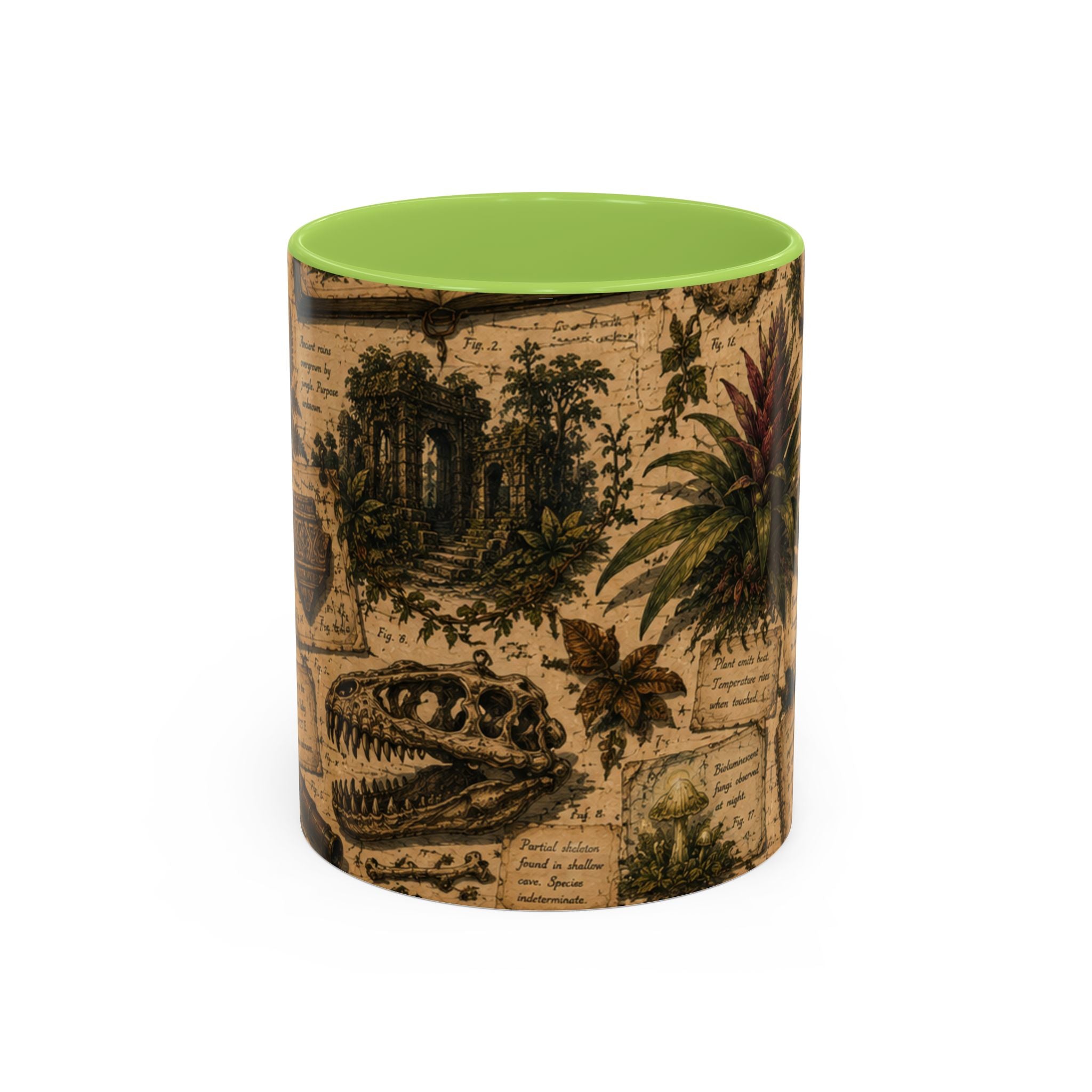 Vintage Natural History Coffee Mug — Botanical & Fossil Illustration Accent Mug