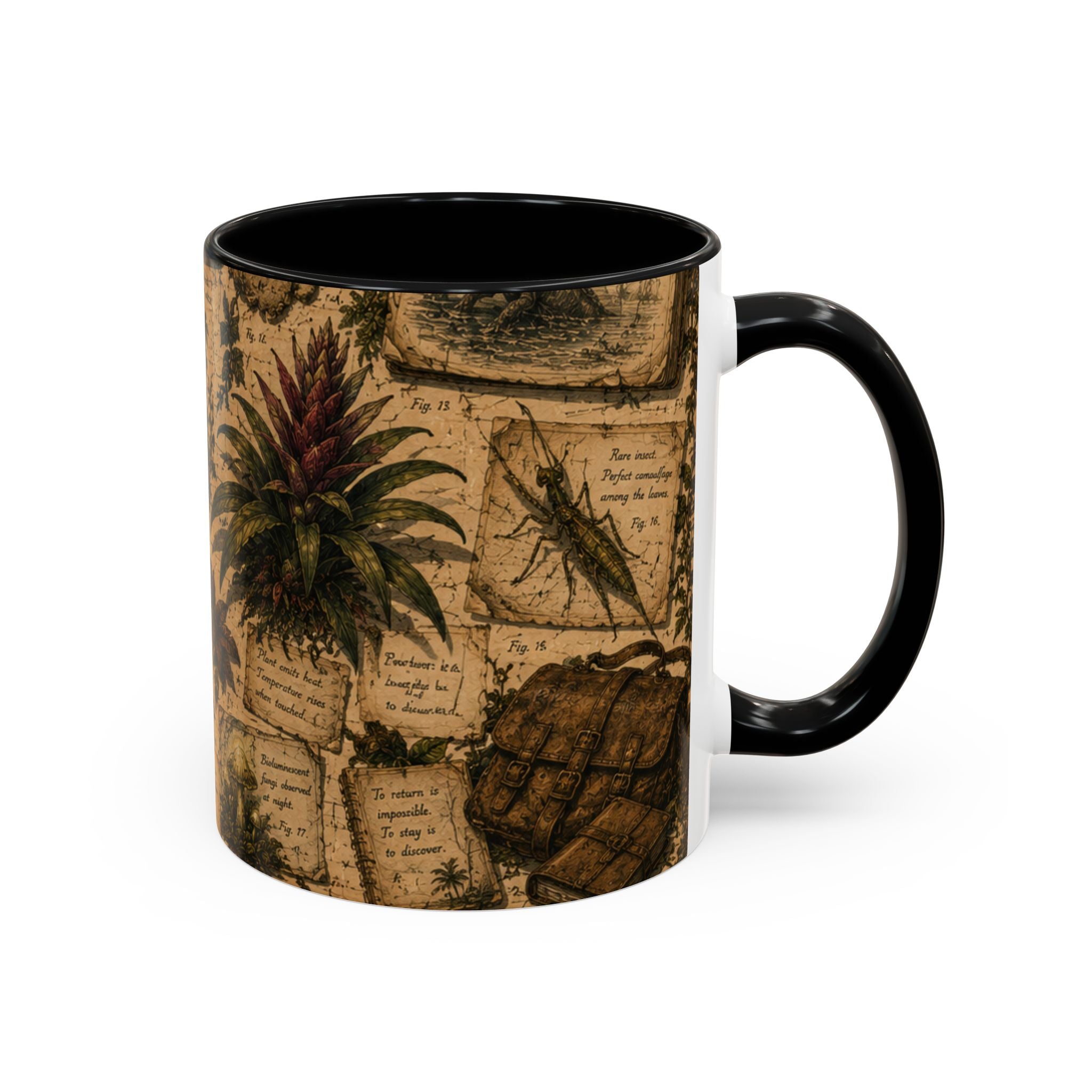 Vintage Natural History Coffee Mug — Botanical & Fossil Illustration Accent Mug