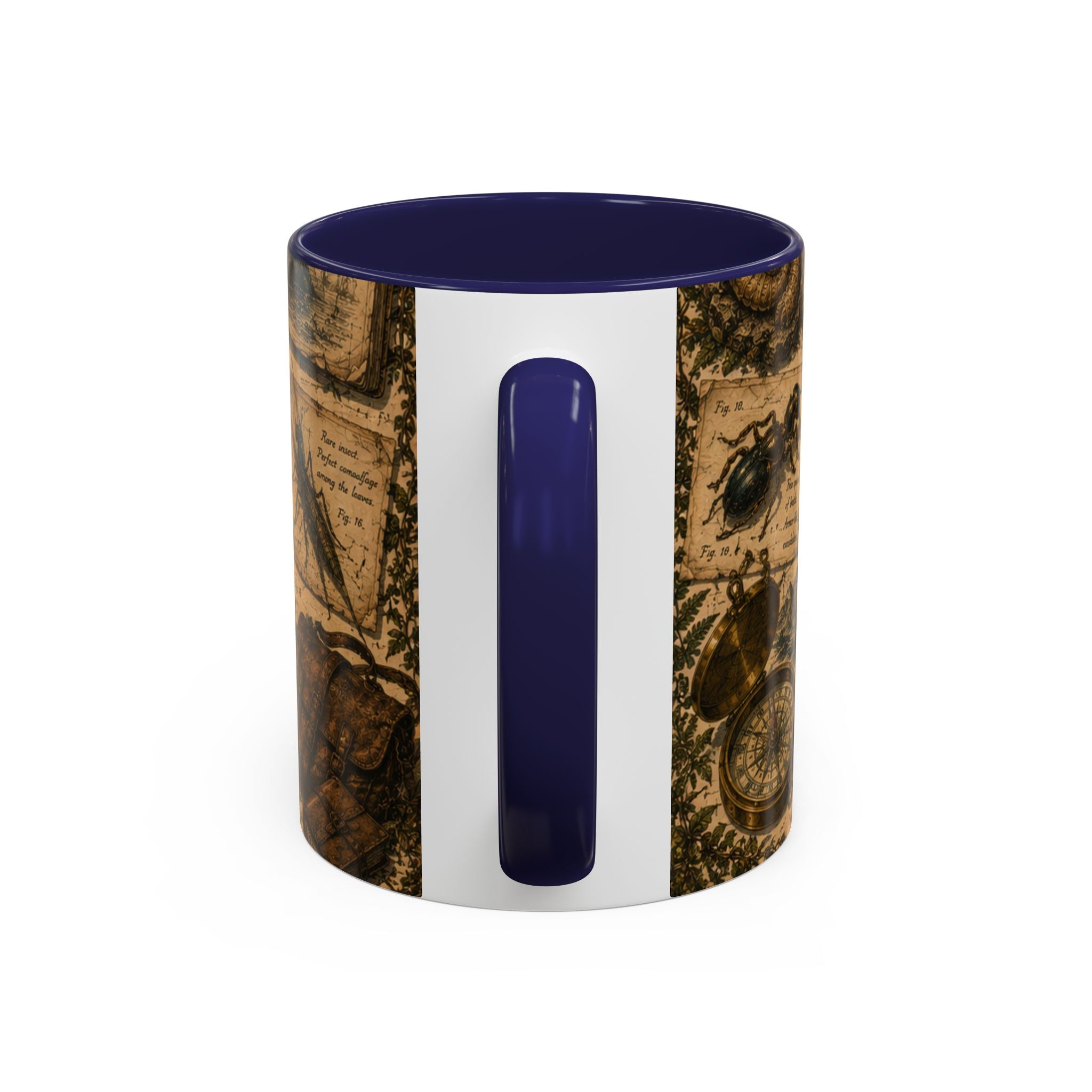 Vintage Natural History Coffee Mug — Botanical & Fossil Illustration Accent Mug