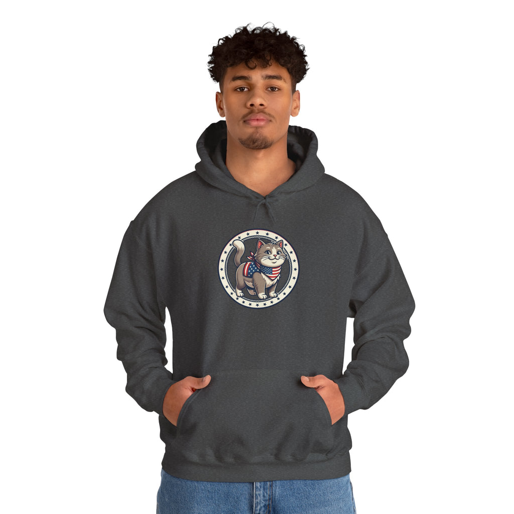 Patriotic Cat Hoodie