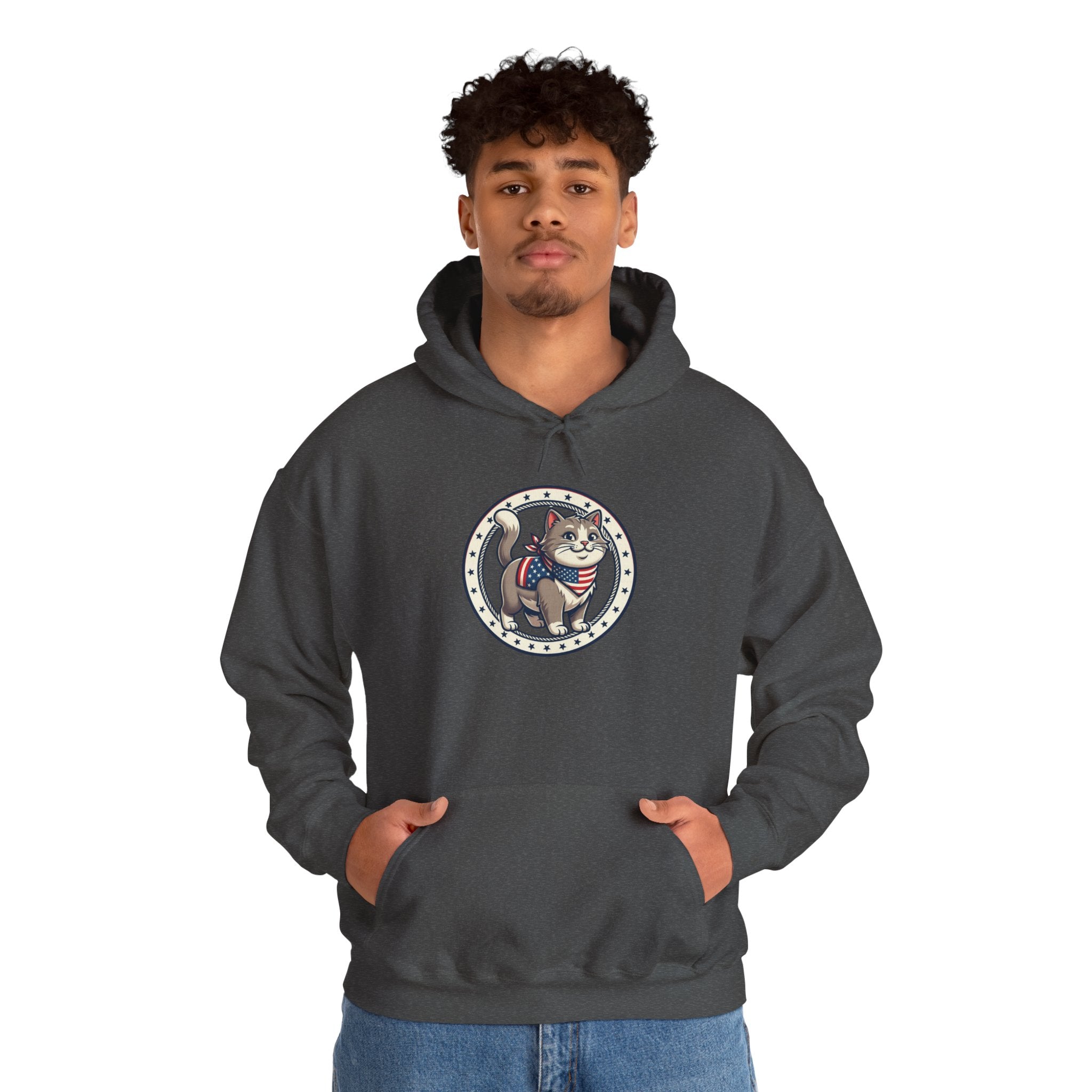 Patriotic Cat Hoodie