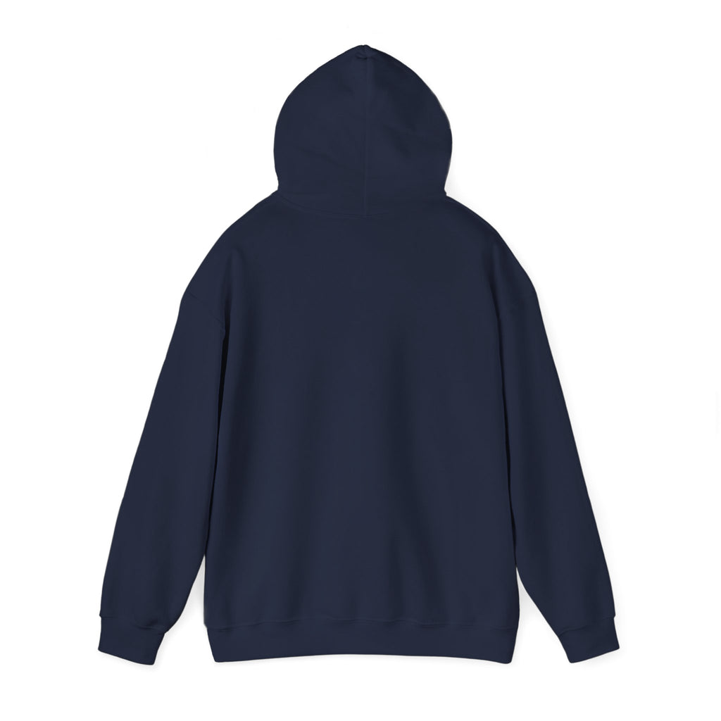 Patriotic Cat Hoodie — "Ready for the Stars" Graphic Pullover