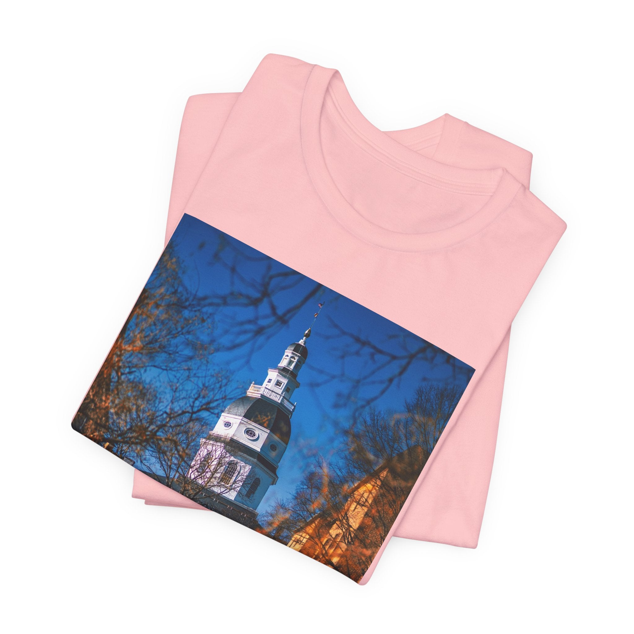 Maryland State House Street Photo Tee
