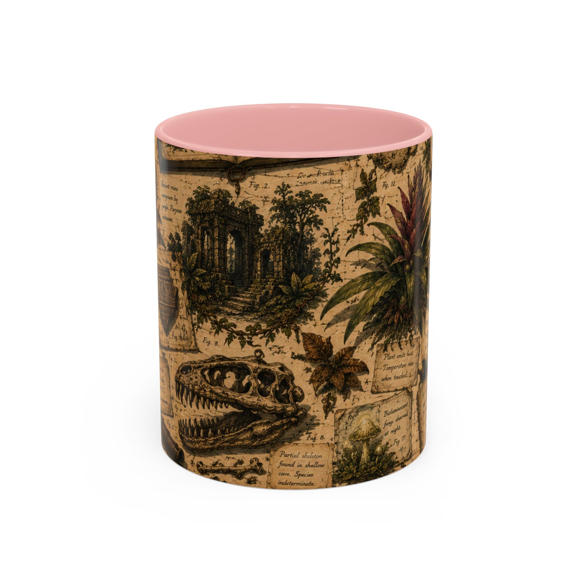 Vintage Natural History Coffee Mug — Botanical & Fossil Illustration Accent Mug