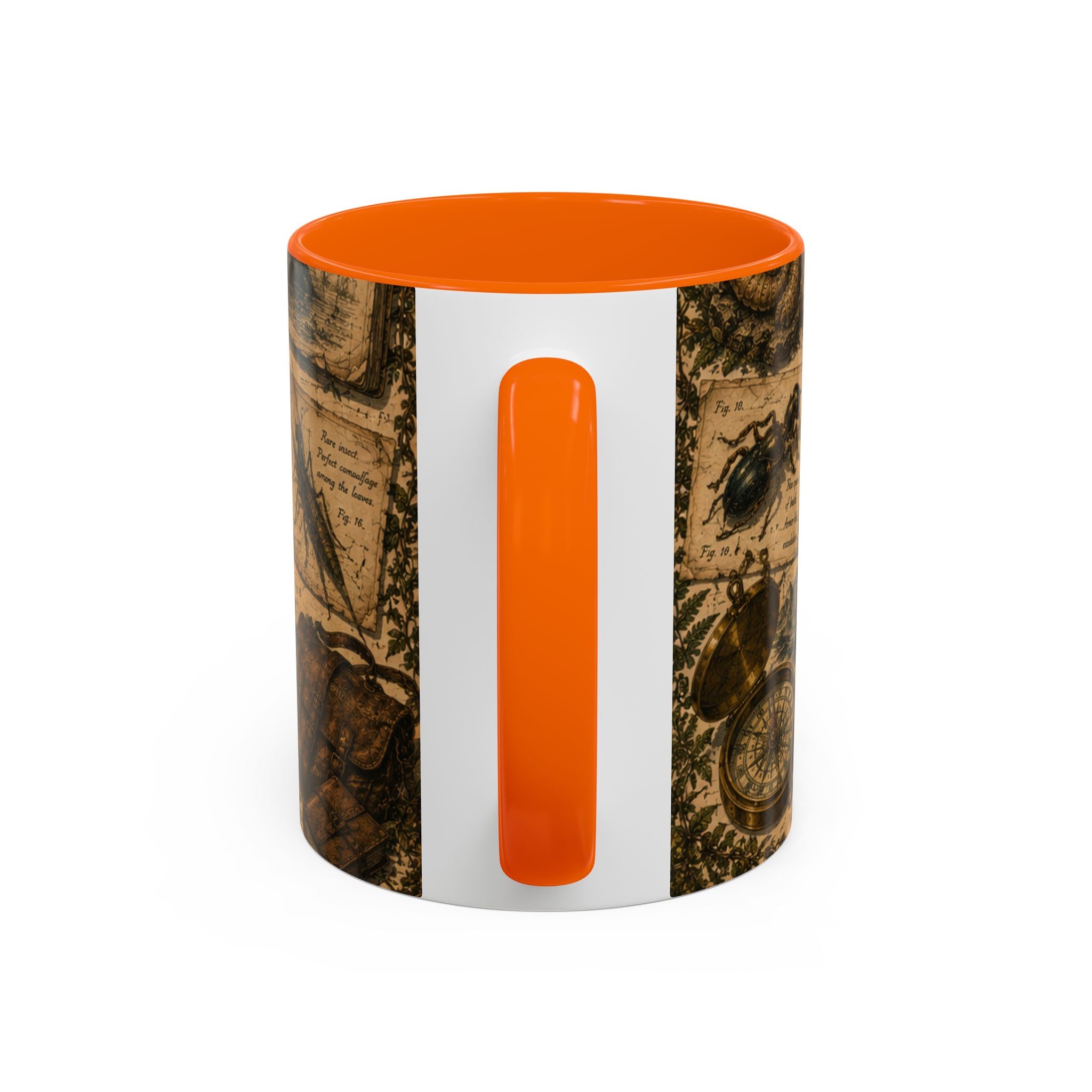 Vintage Natural History Coffee Mug — Botanical & Fossil Illustration Accent Mug