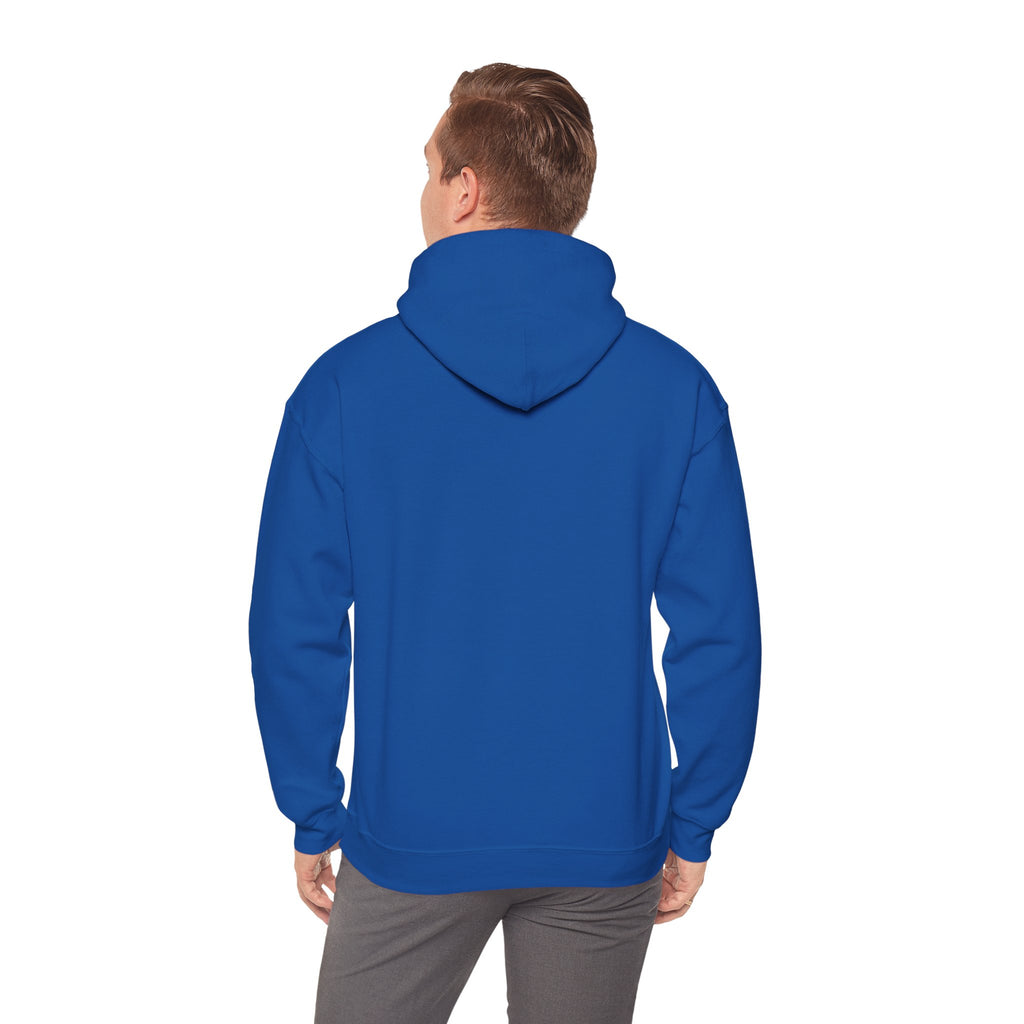Patriotic Cat Hoodie — "Ready for the Stars" Graphic Pullover