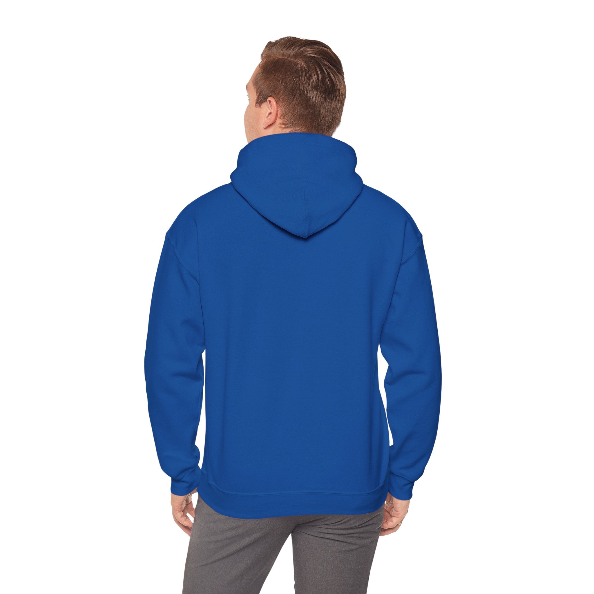 Patriotic Cat Hoodie — "Ready for the Stars" Graphic Pullover