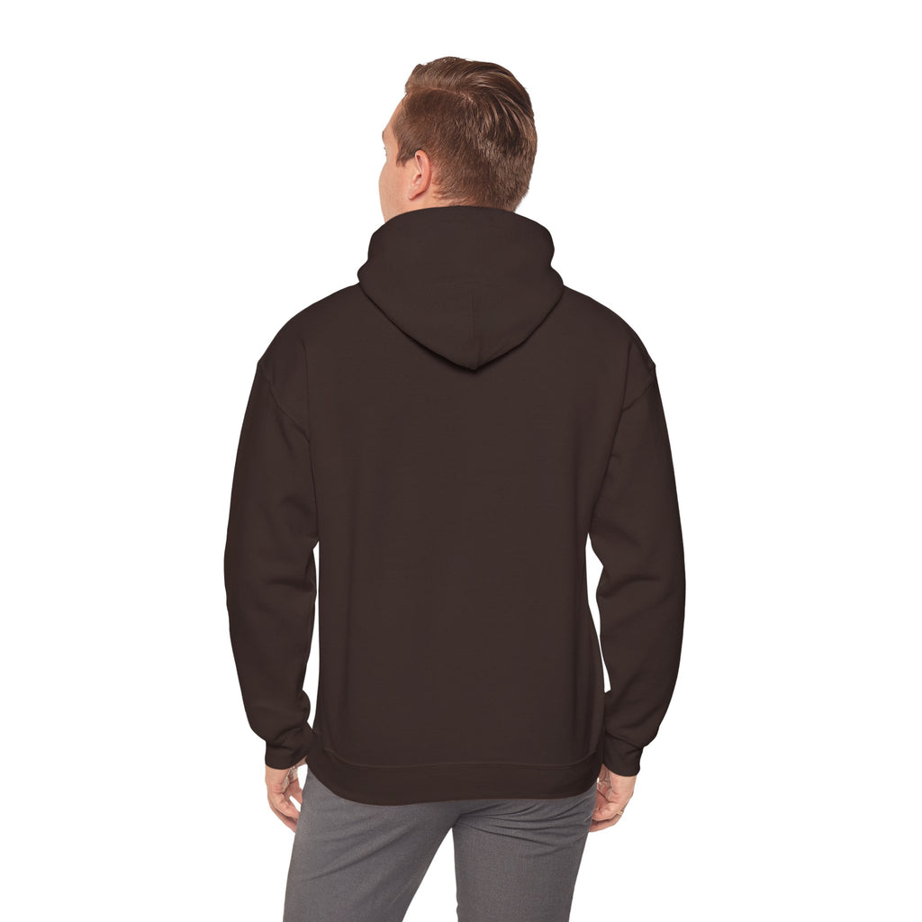Patriotic Cat Hoodie — "Ready for the Stars" Graphic Pullover