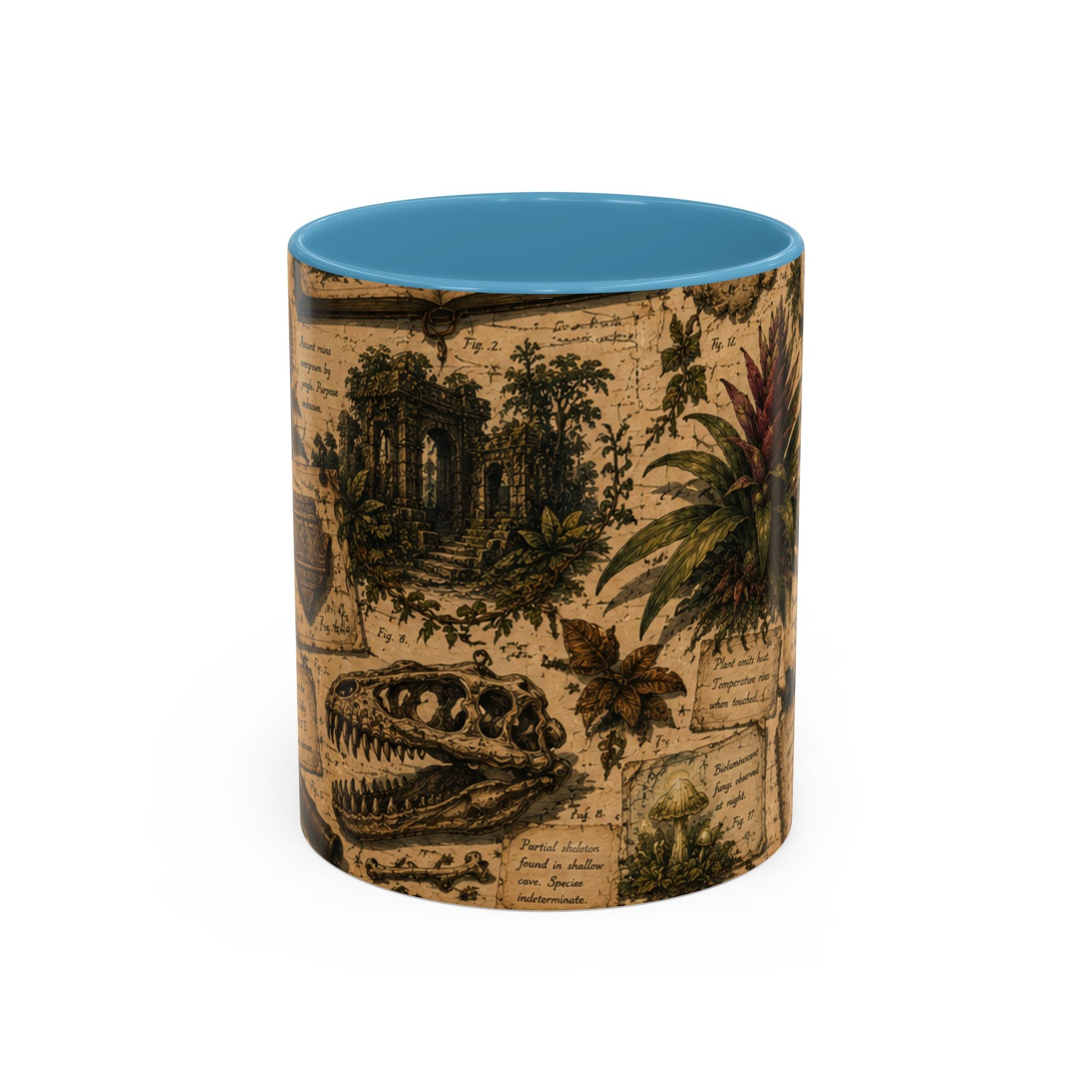 Vintage Natural History Coffee Mug — Botanical & Fossil Illustration Accent Mug