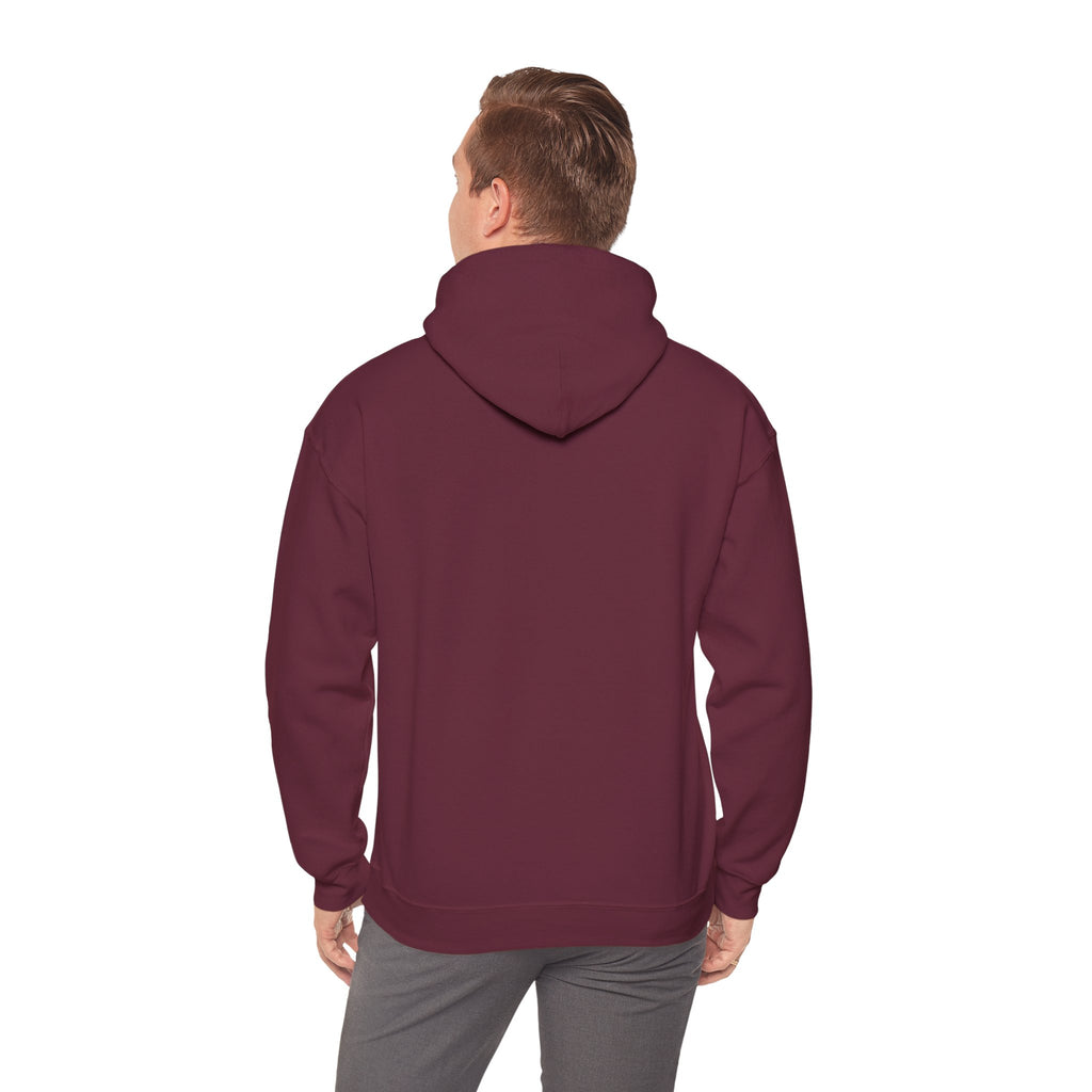 Patriotic Cat Hoodie