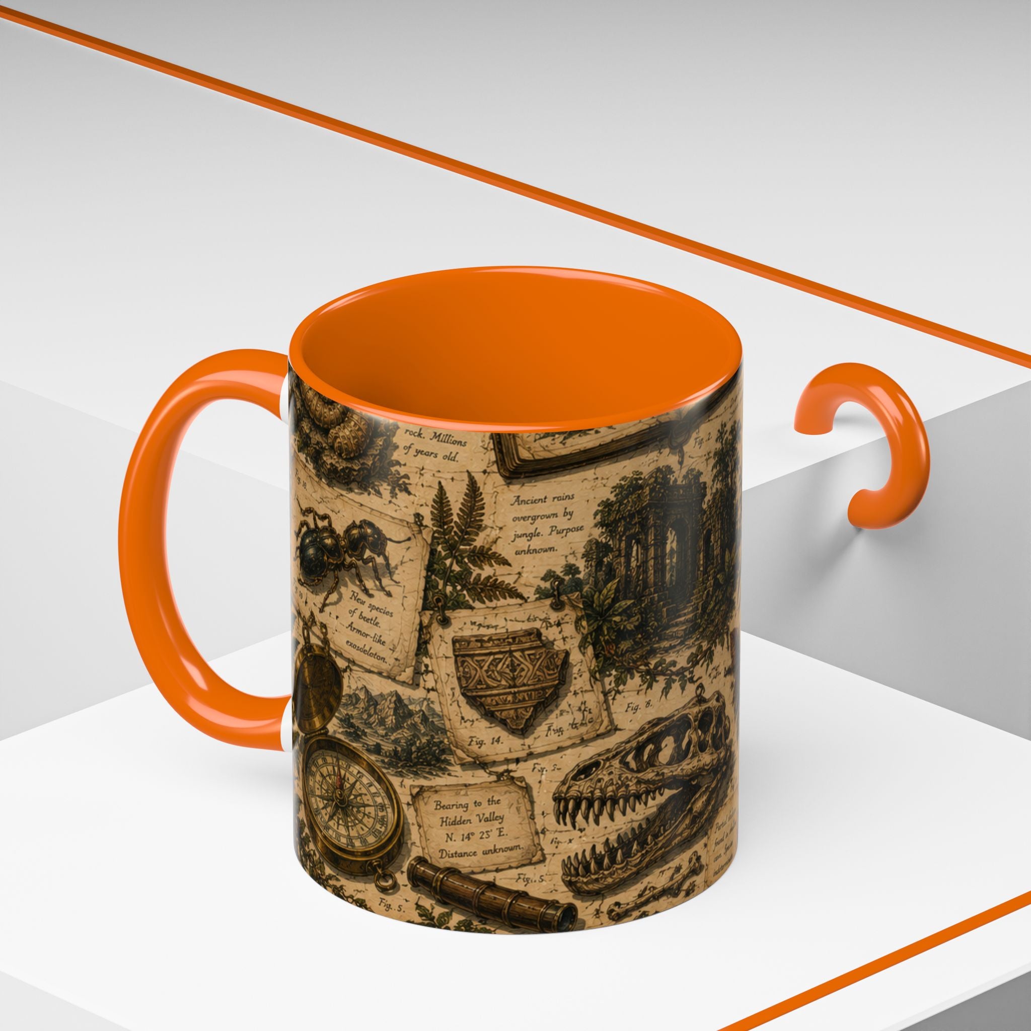 Vintage Natural History Coffee Mug — Botanical & Fossil Illustration Accent Mug
