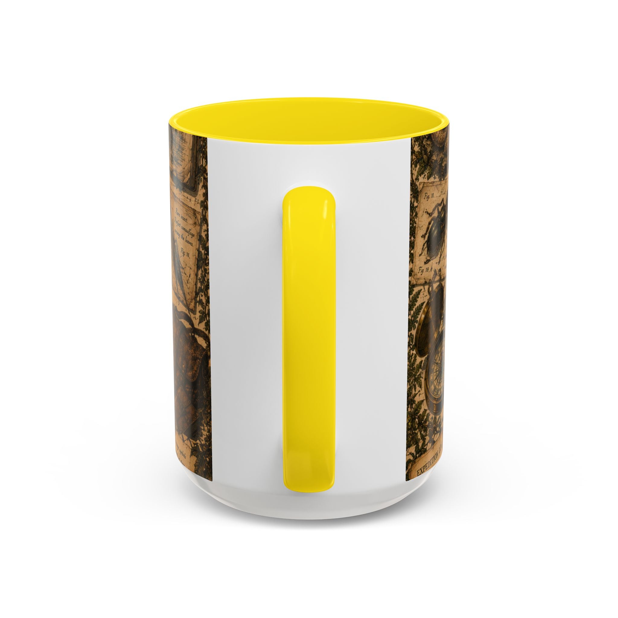 Vintage Natural History Coffee Mug — Botanical & Fossil Illustration Accent Mug