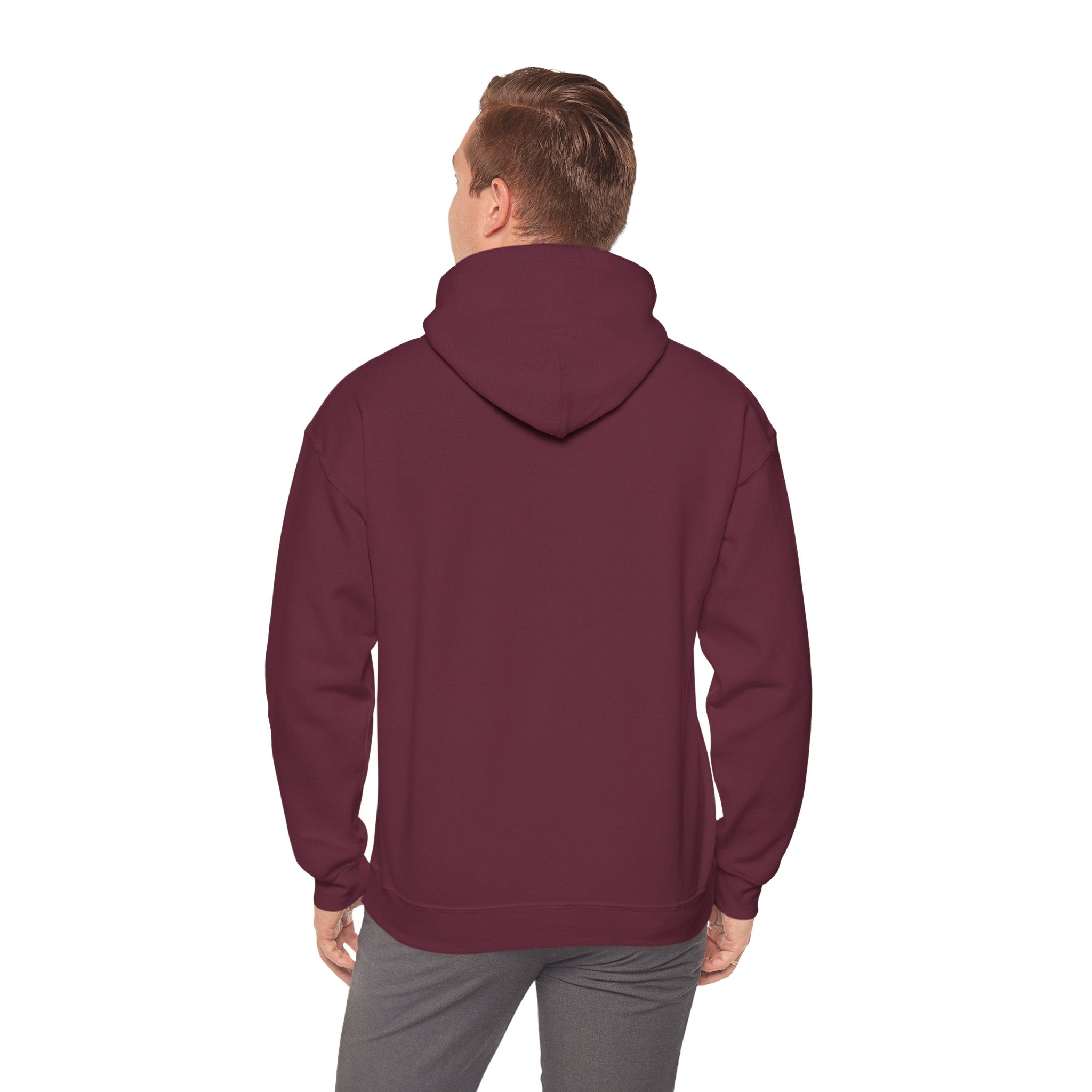 Patriotic Cat Hoodie — "Ready for the Stars" Graphic Pullover