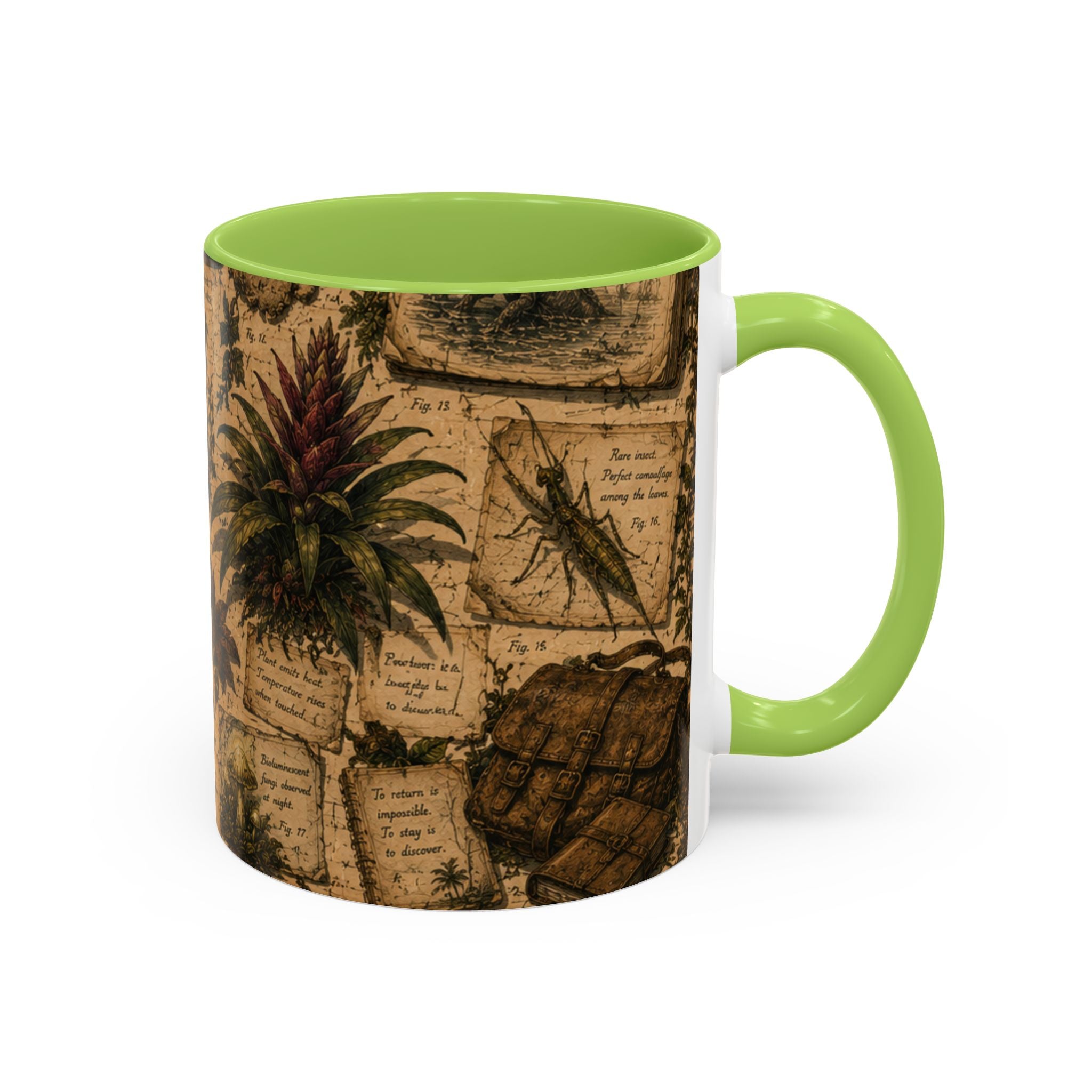 Vintage Natural History Coffee Mug — Botanical & Fossil Illustration Accent Mug
