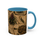 Vintage Natural History Coffee Mug — Botanical & Fossil Illustration Accent Mug
