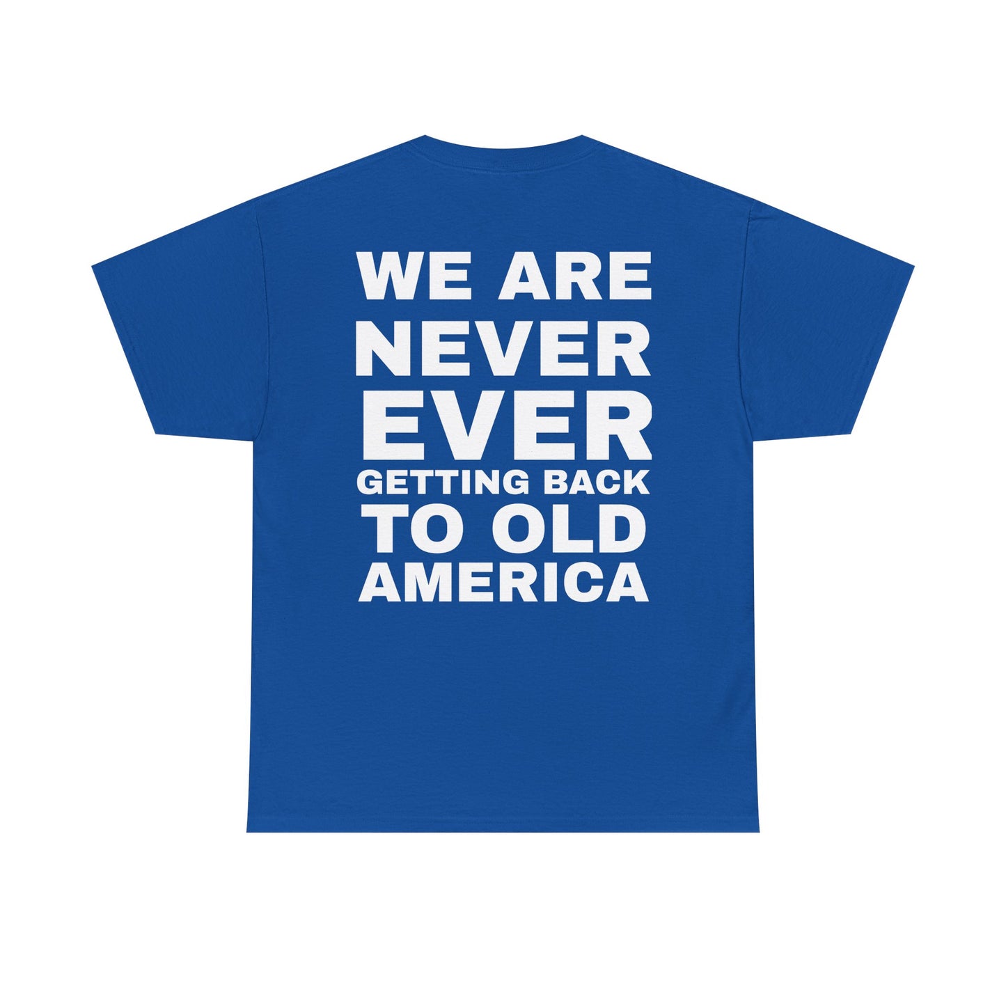 Americas Taylor’s Version Democrat T Shirt