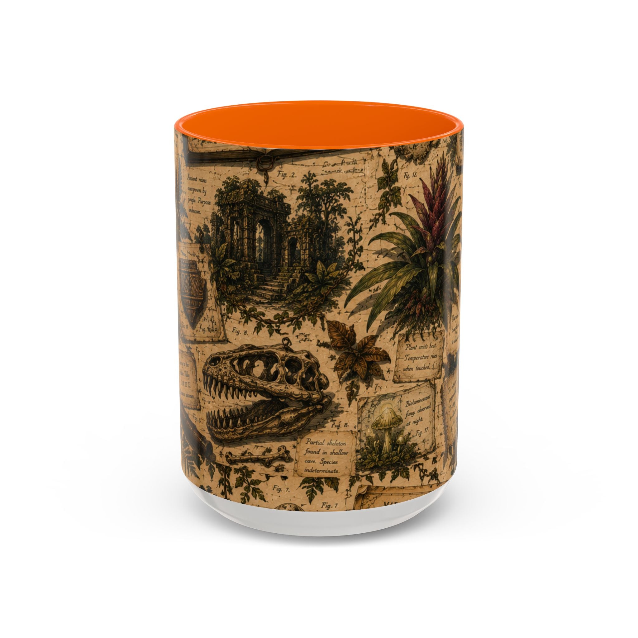 Vintage Natural History Coffee Mug — Botanical & Fossil Illustration Accent Mug