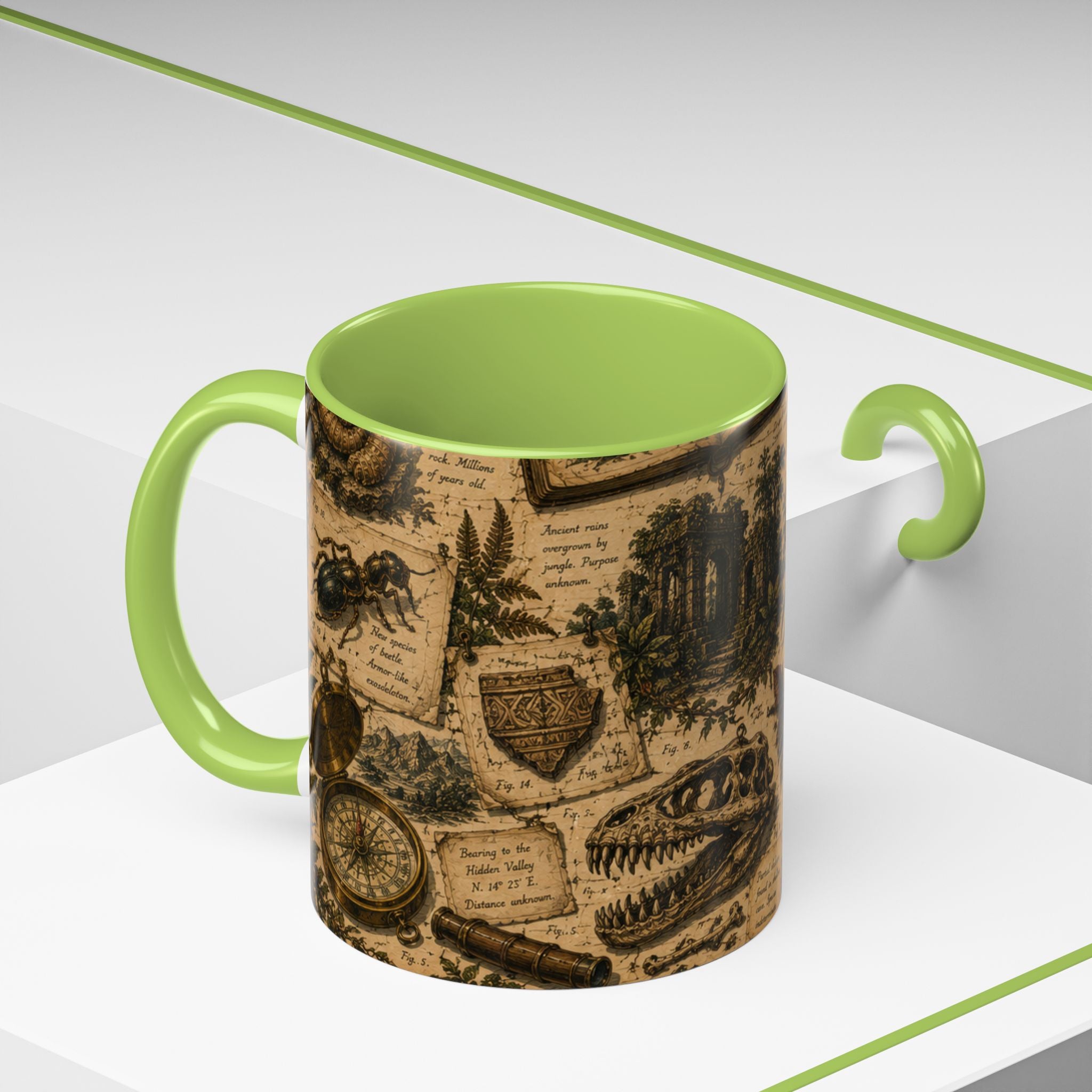 Vintage Natural History Coffee Mug — Botanical & Fossil Illustration Accent Mug