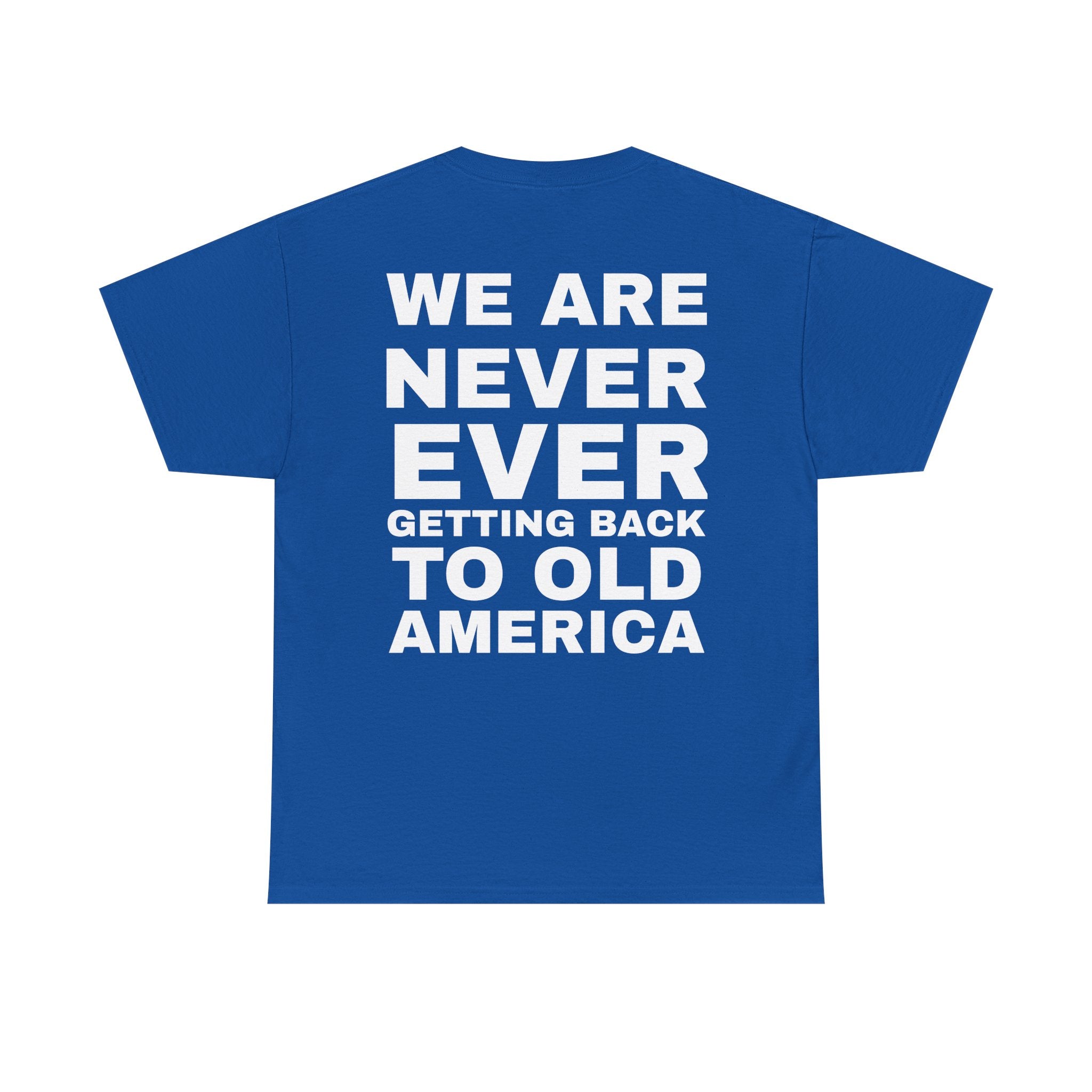 Americas Taylor’s Version Democrat T Shirt