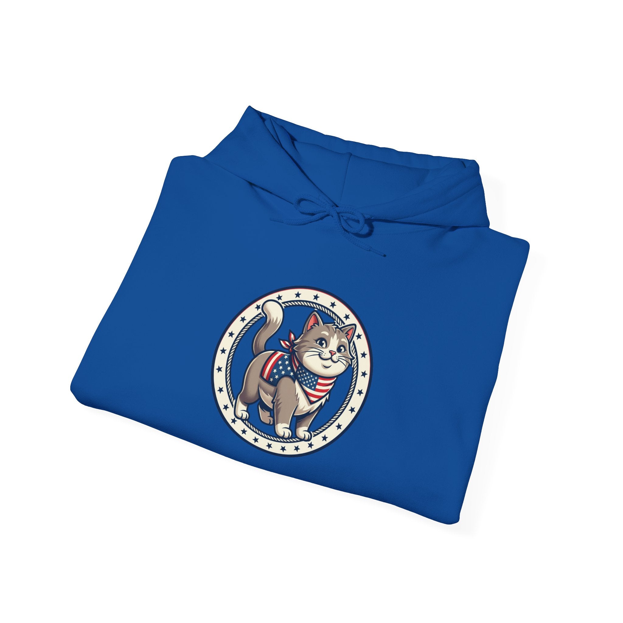 Patriotic Cat Hoodie
