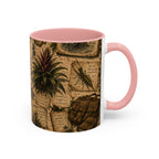 Vintage Natural History Coffee Mug — Botanical & Fossil Illustration Accent Mug