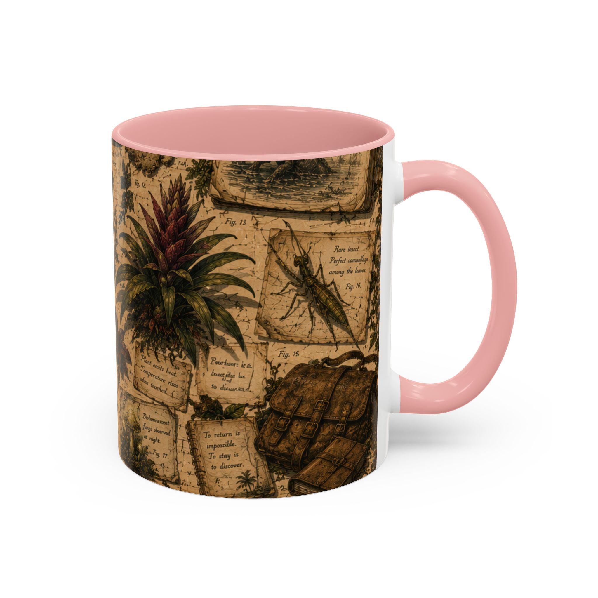Vintage Natural History Coffee Mug — Botanical & Fossil Illustration Accent Mug