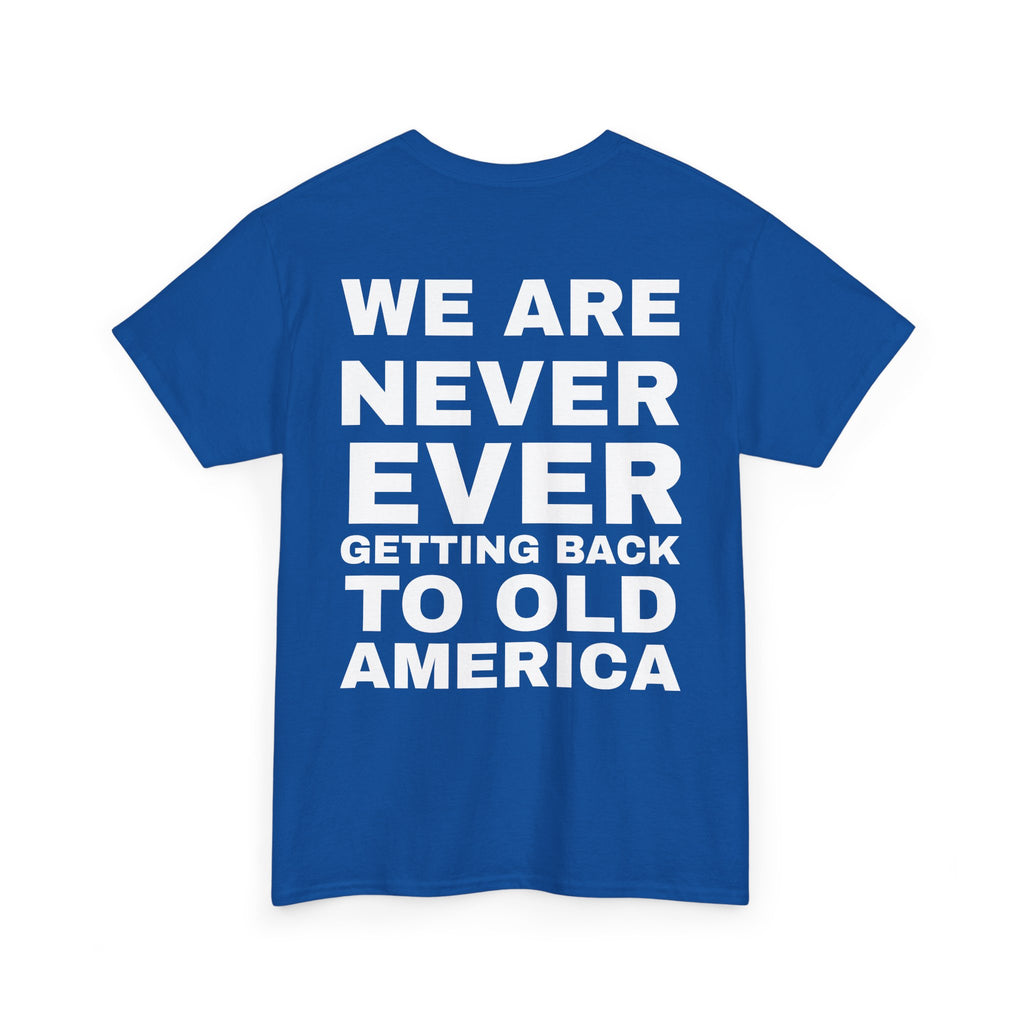Americas Taylor’s Version Democrat T Shirt
